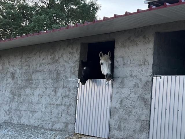 Casa do Vilar