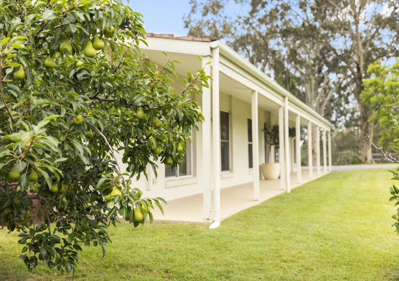Hillcrest House - Gem in the Hunter!