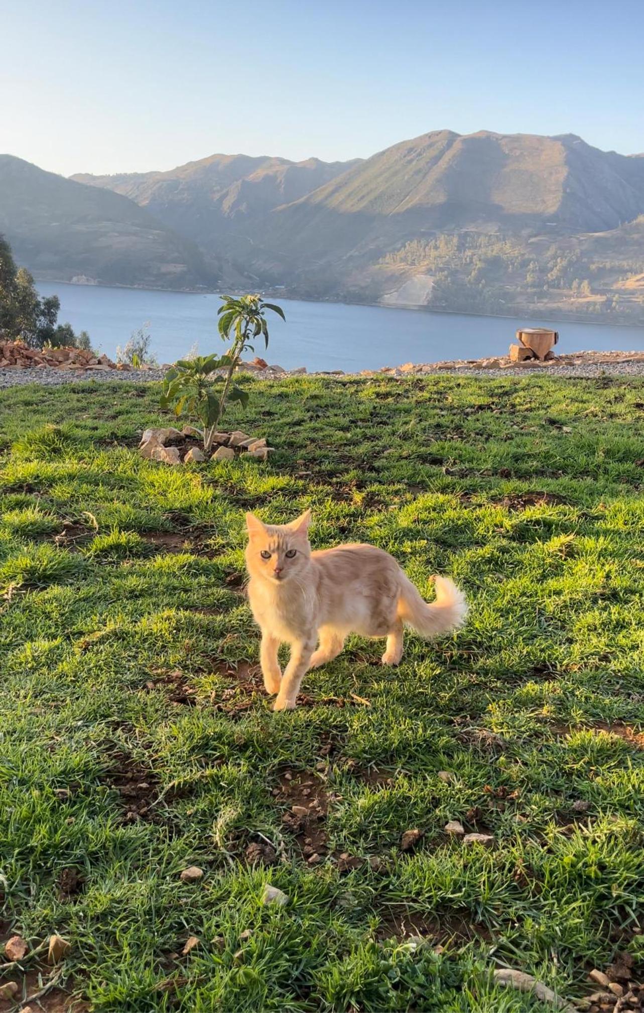 Pacucha Glamping