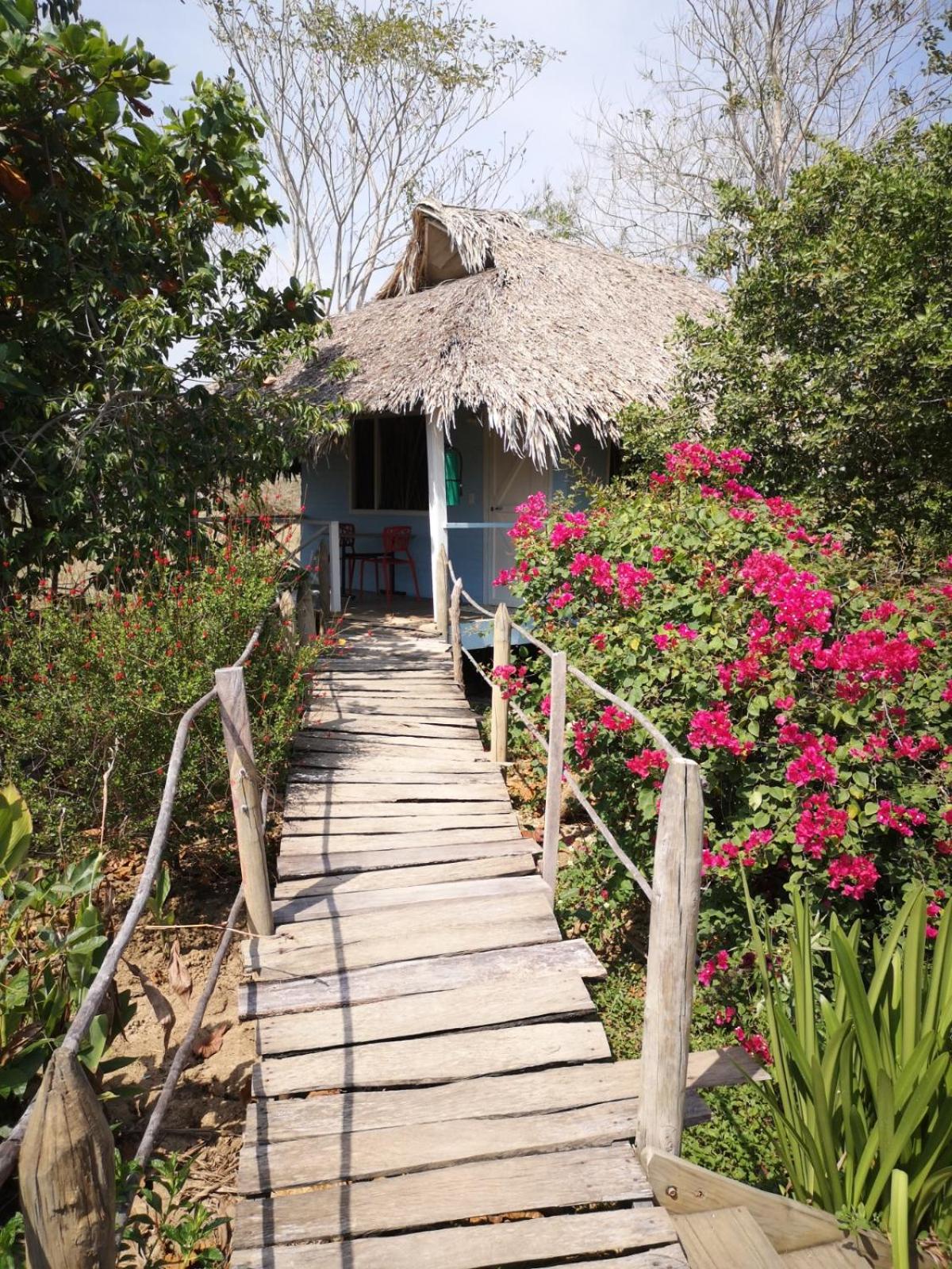 Cabañas La Múcura