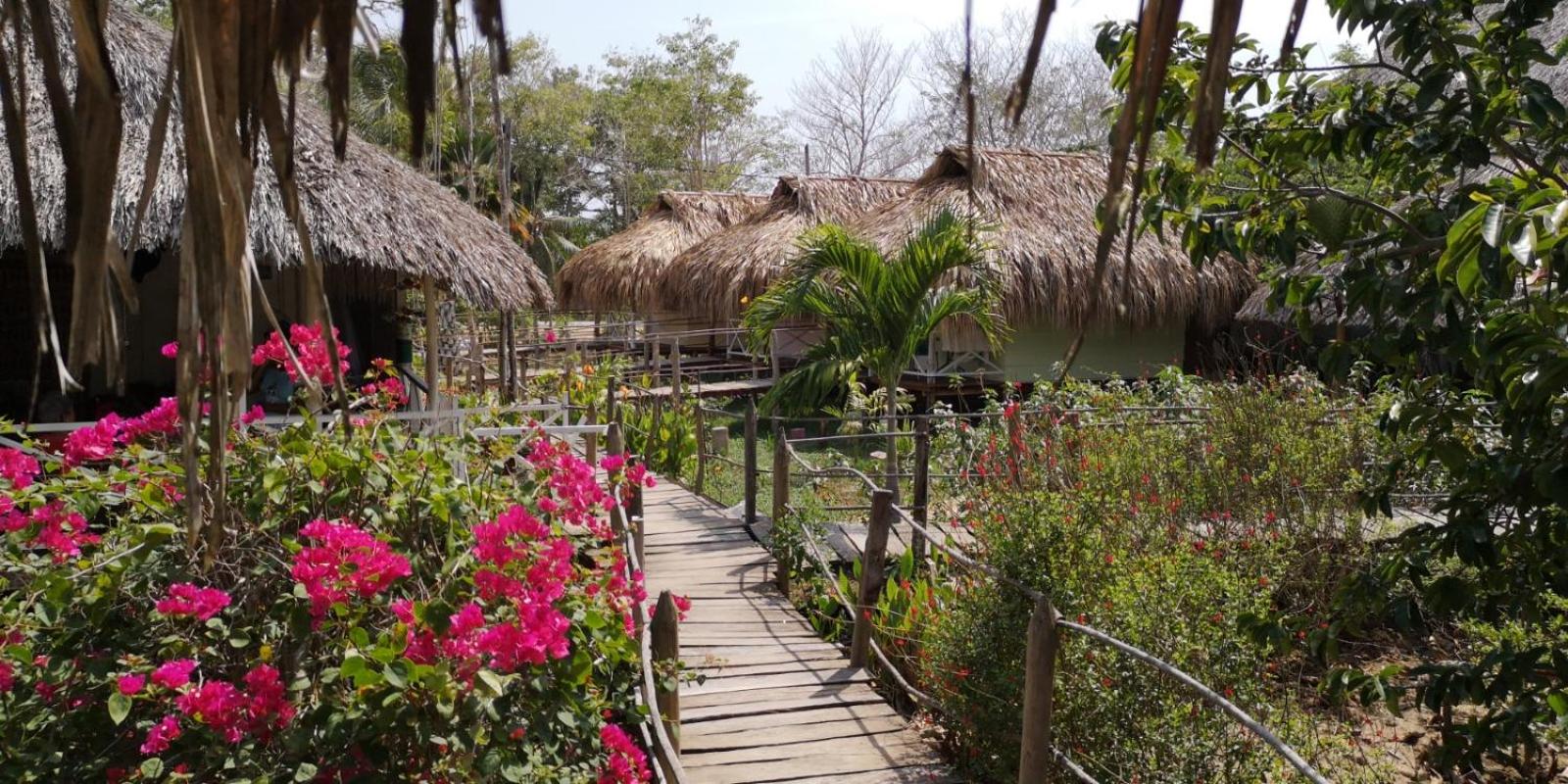 Cabañas La Múcura