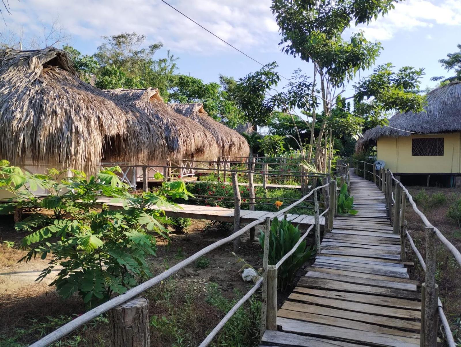 Cabañas La Múcura