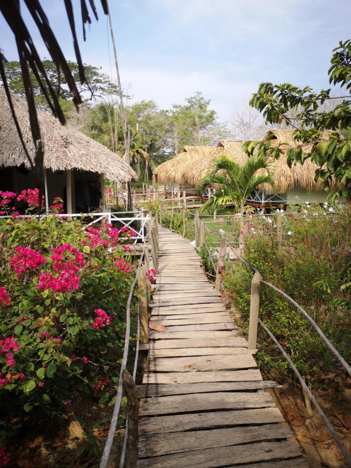 Cabañas La Múcura