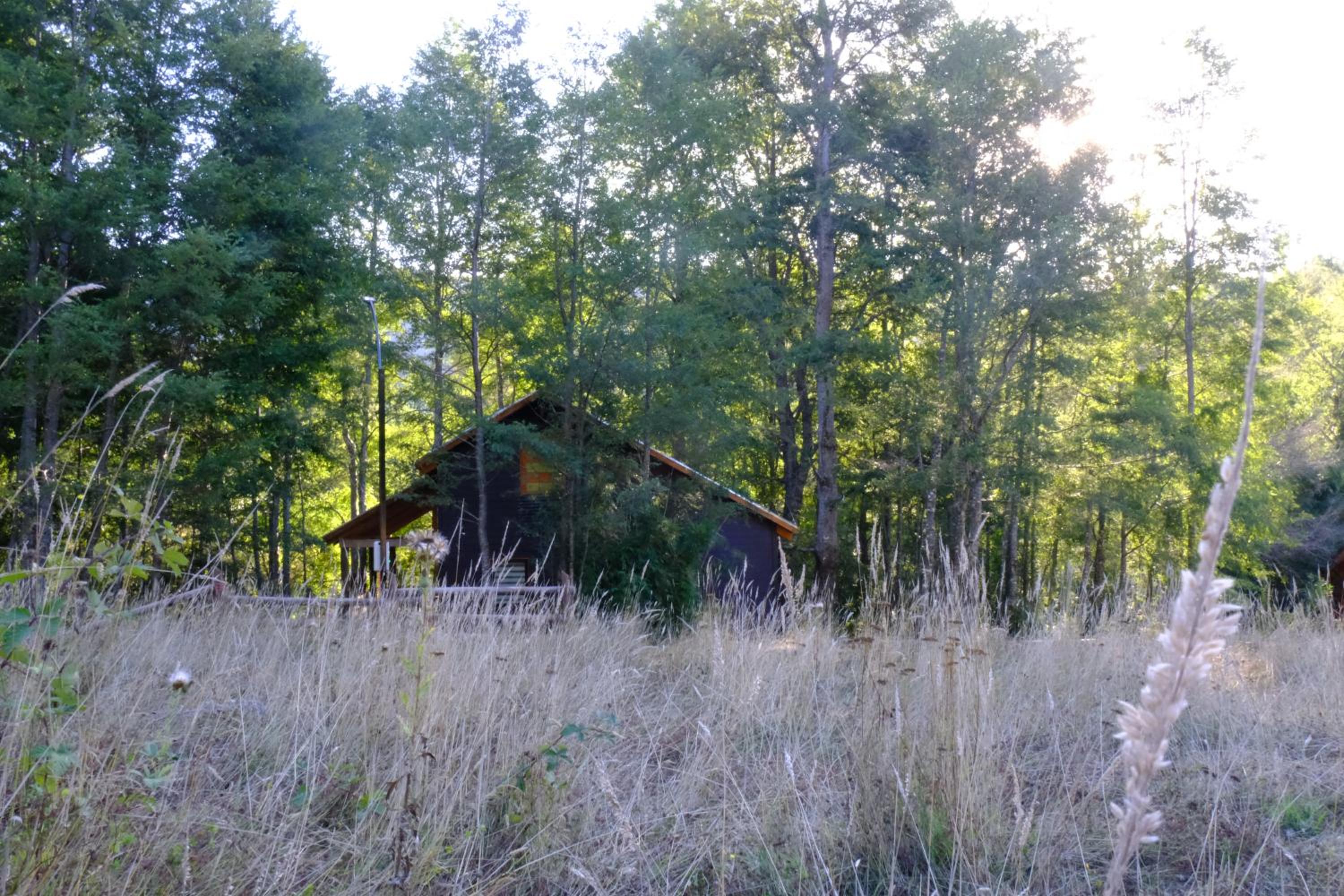 Cabaña Bosque Río