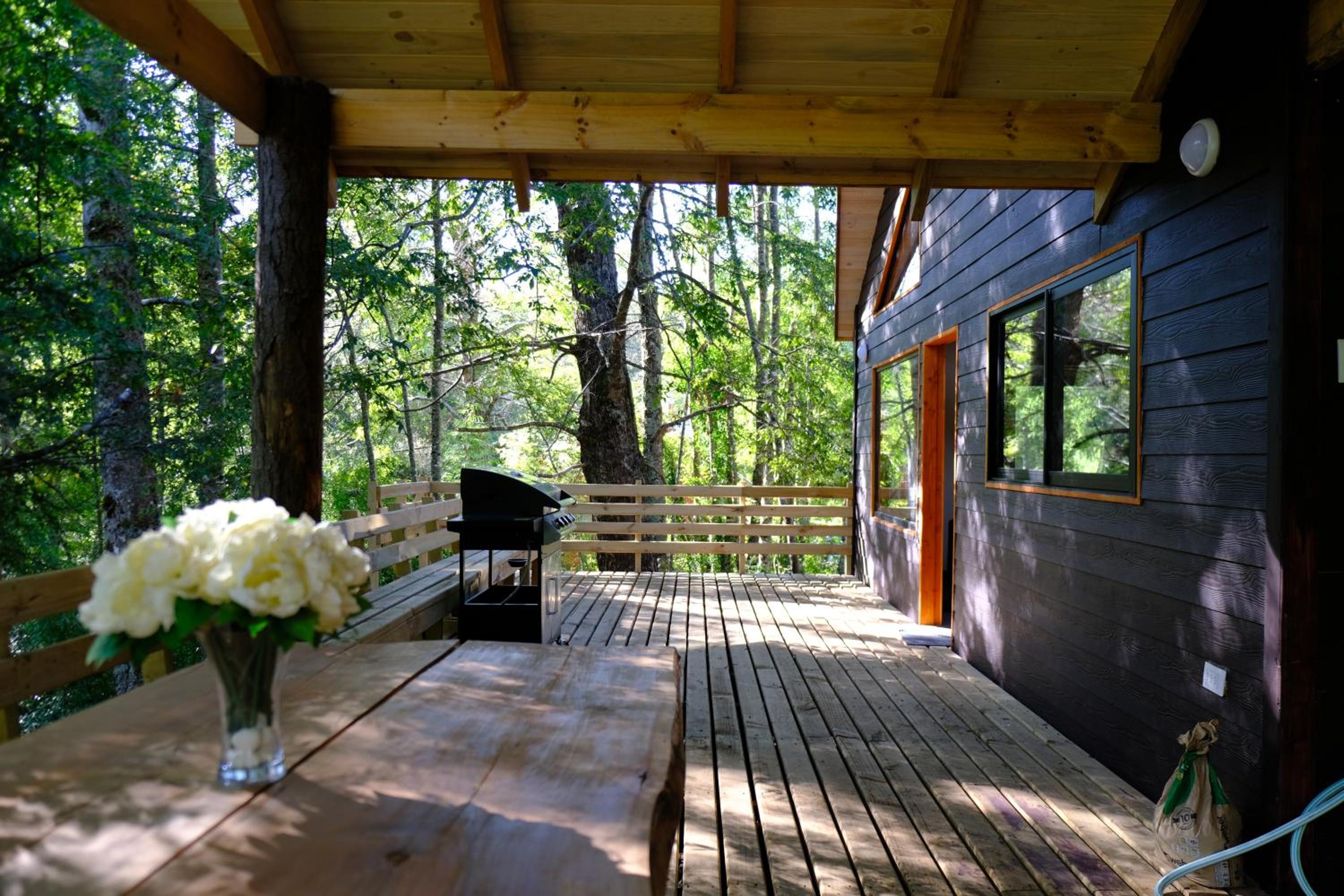 Cabaña Bosque Río