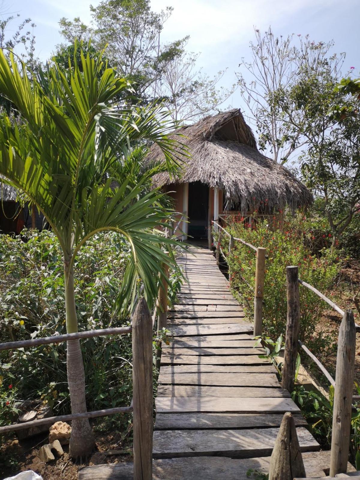 Cabañas La Múcura