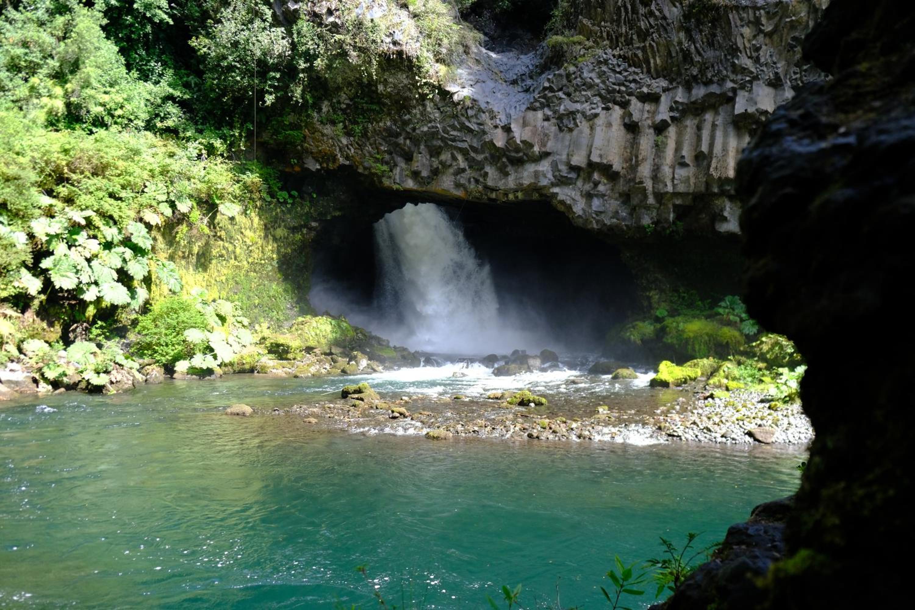 Cabaña Bosque Río