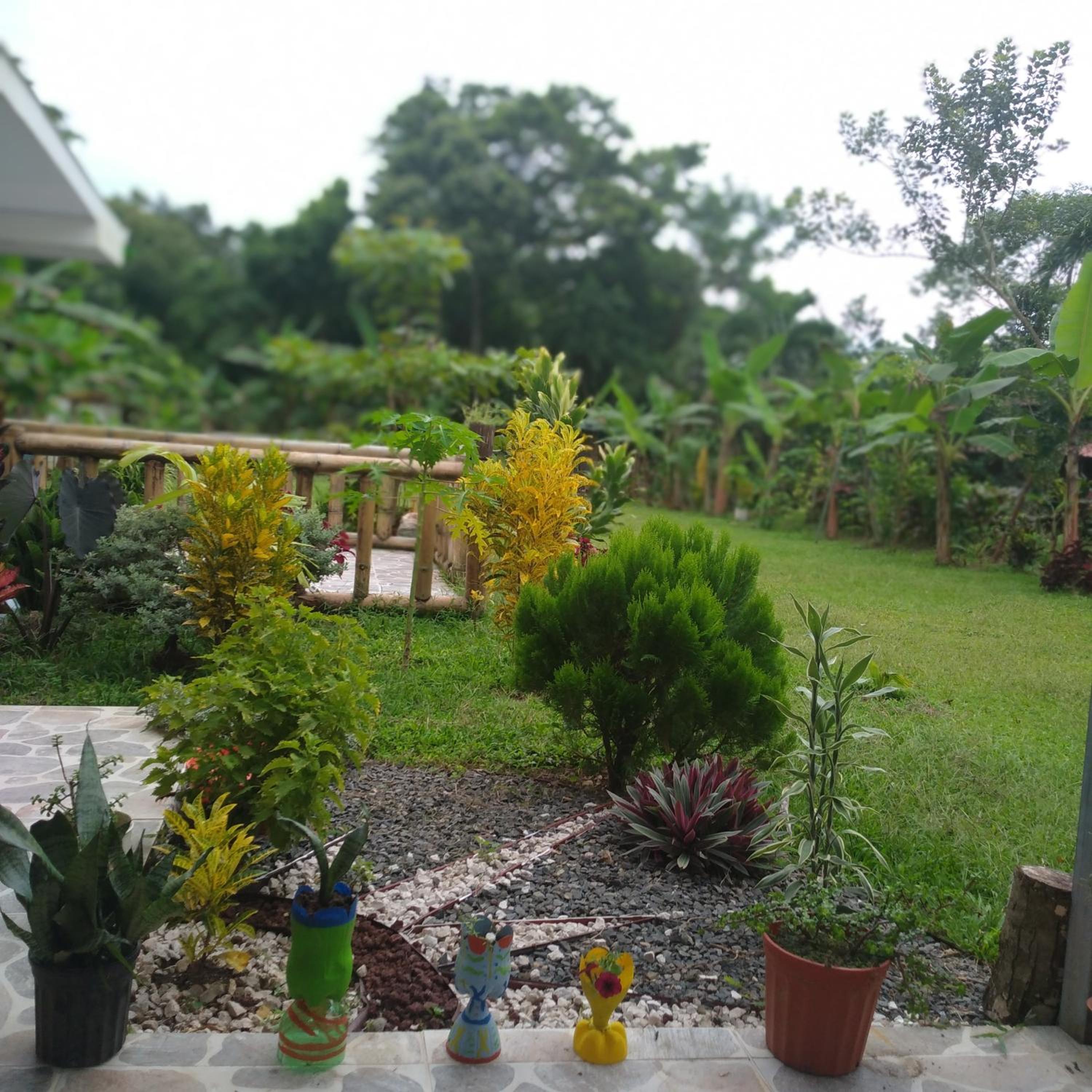 Villa el paraíso