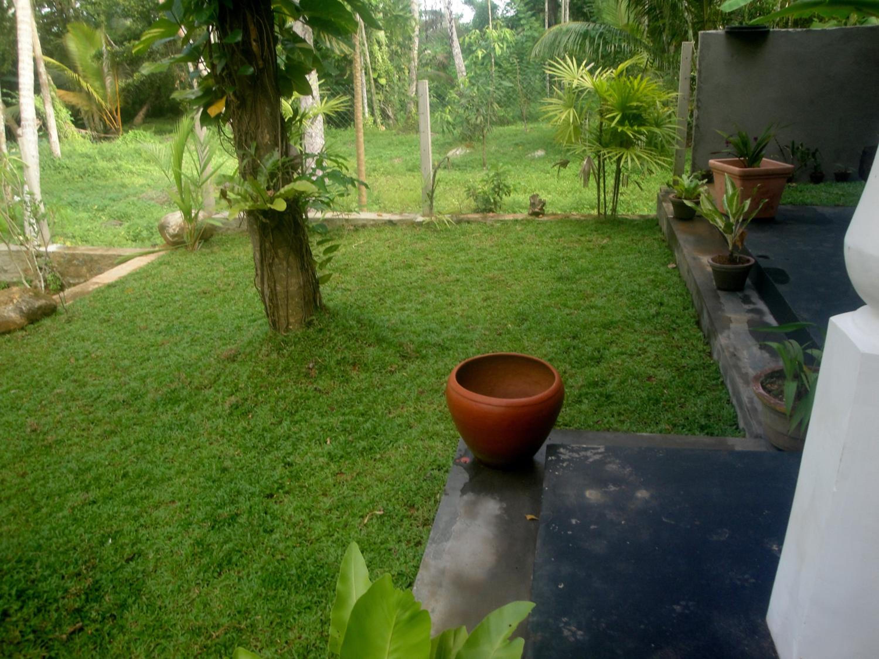 Photo 40