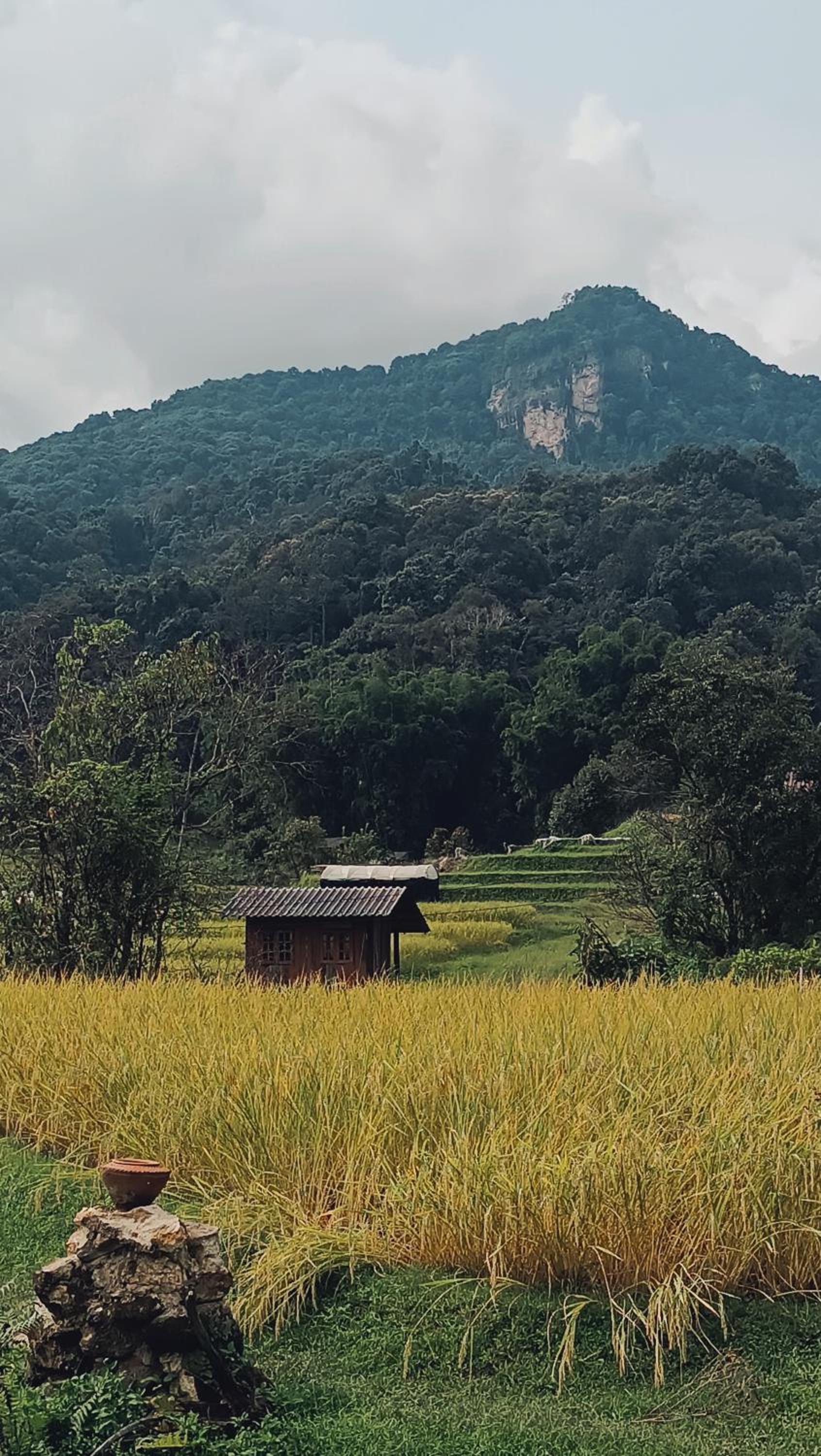 Cabinthai