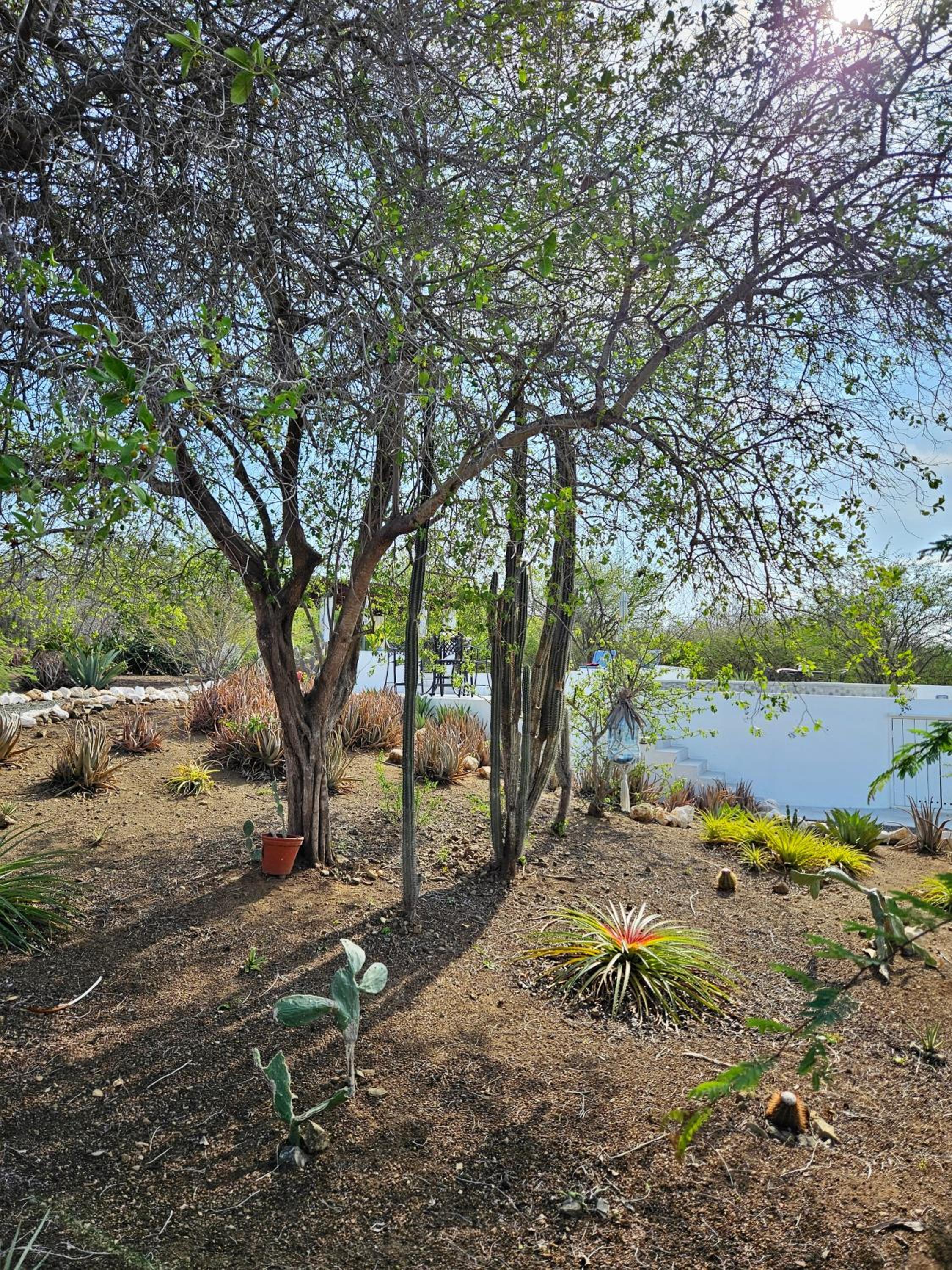 Villa San Sebastian Curaçao