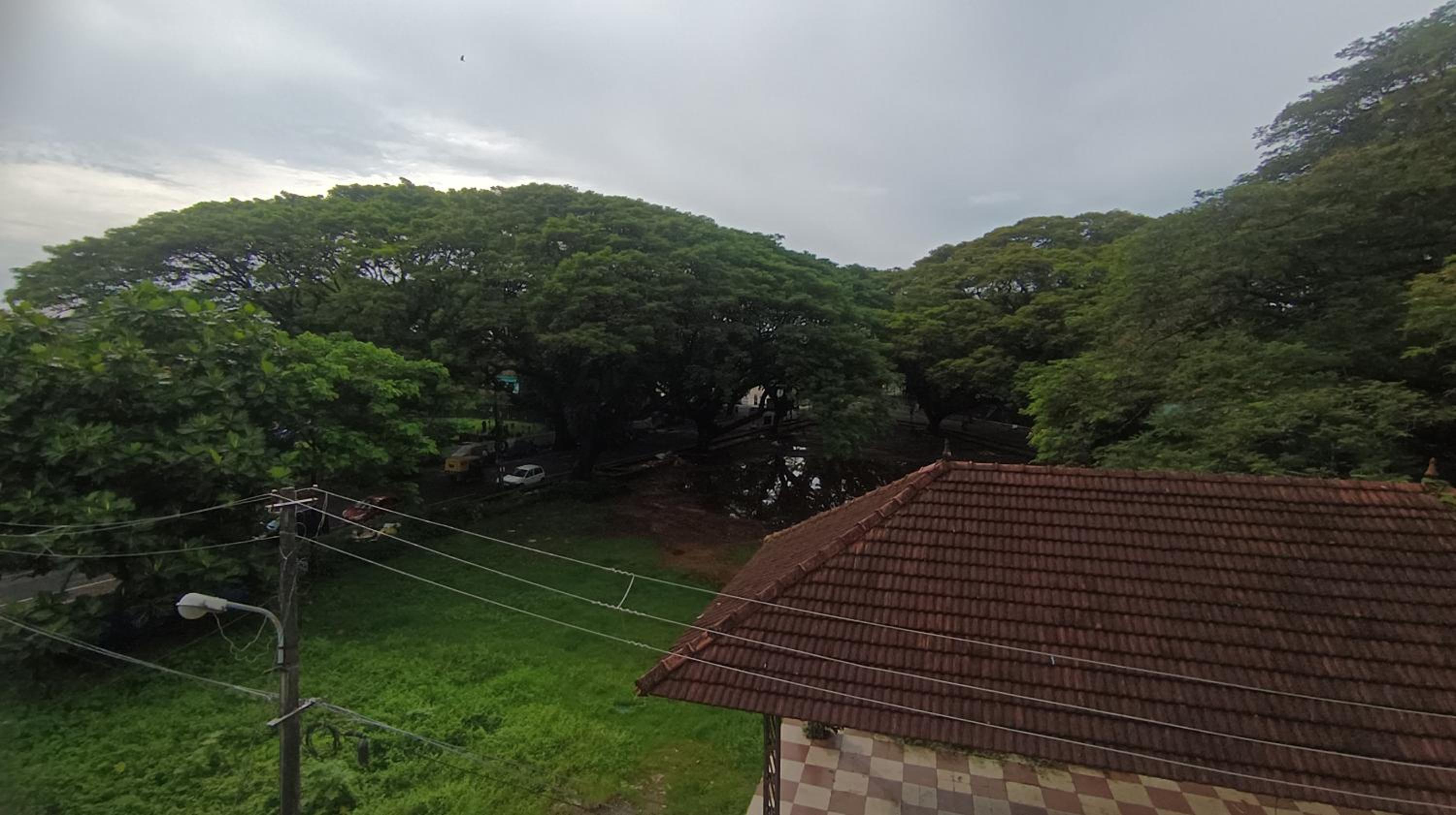 De Banyan Fort Homestay view 5