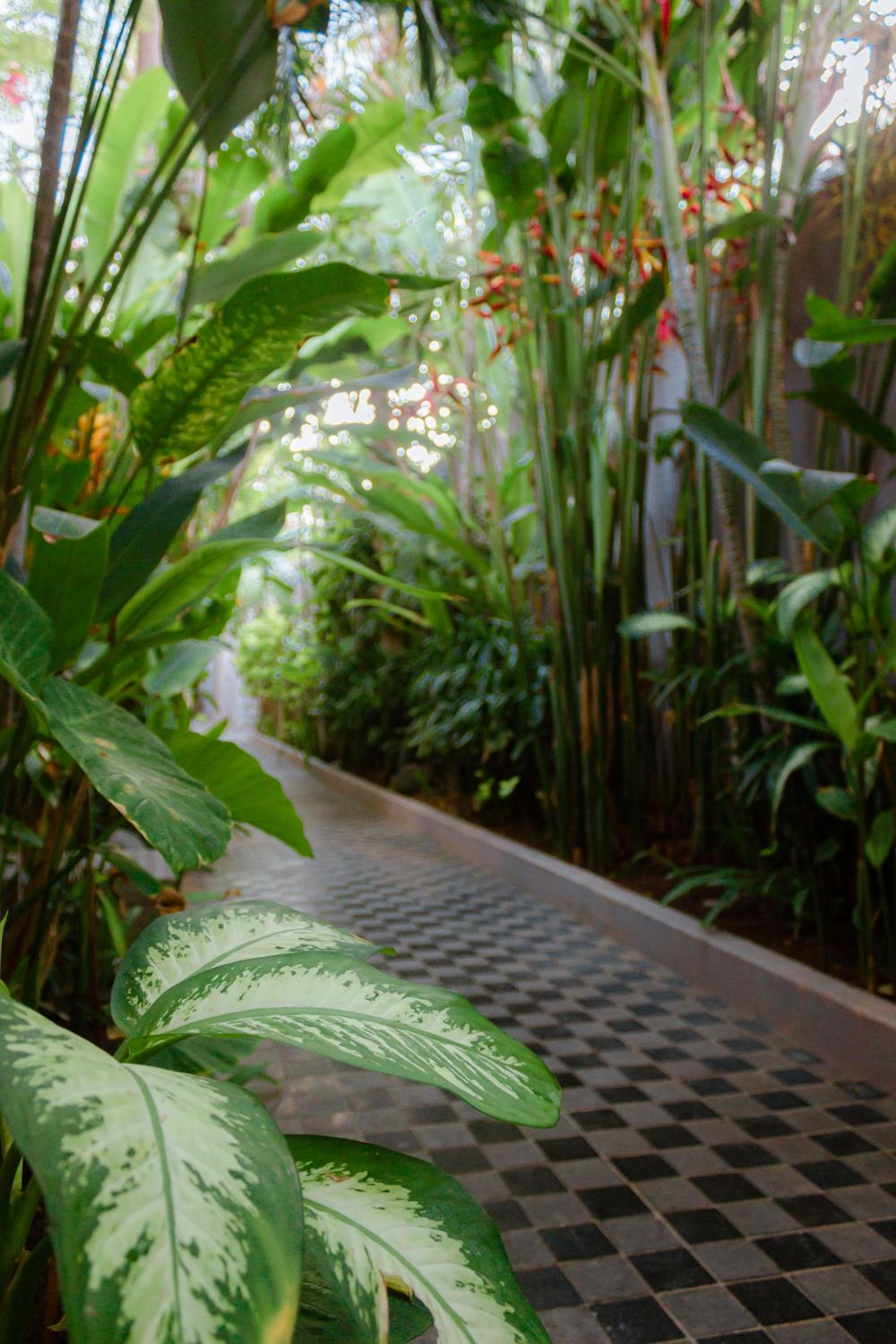 Lasanti Villas Seminyak