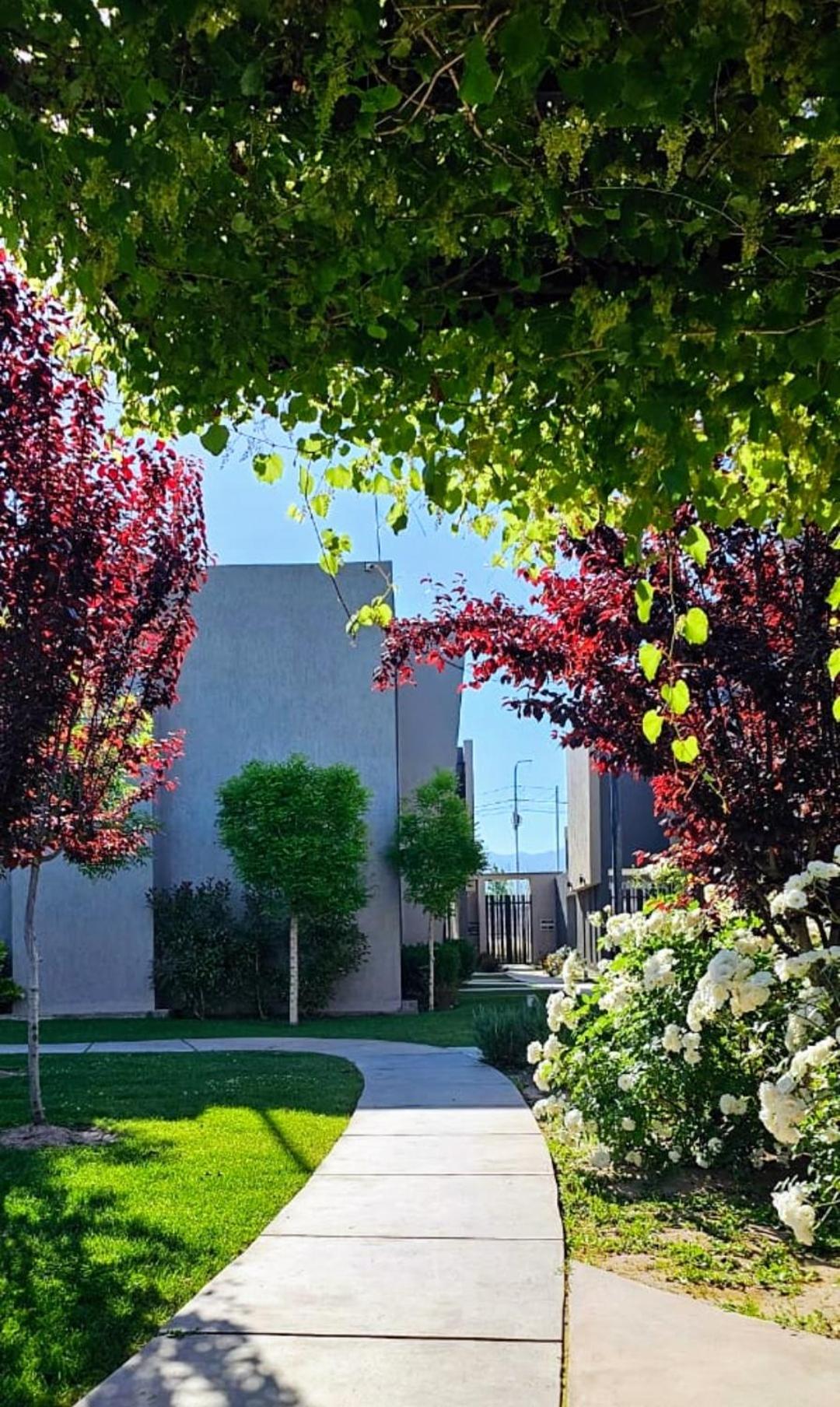 Departamento Las Pergolas