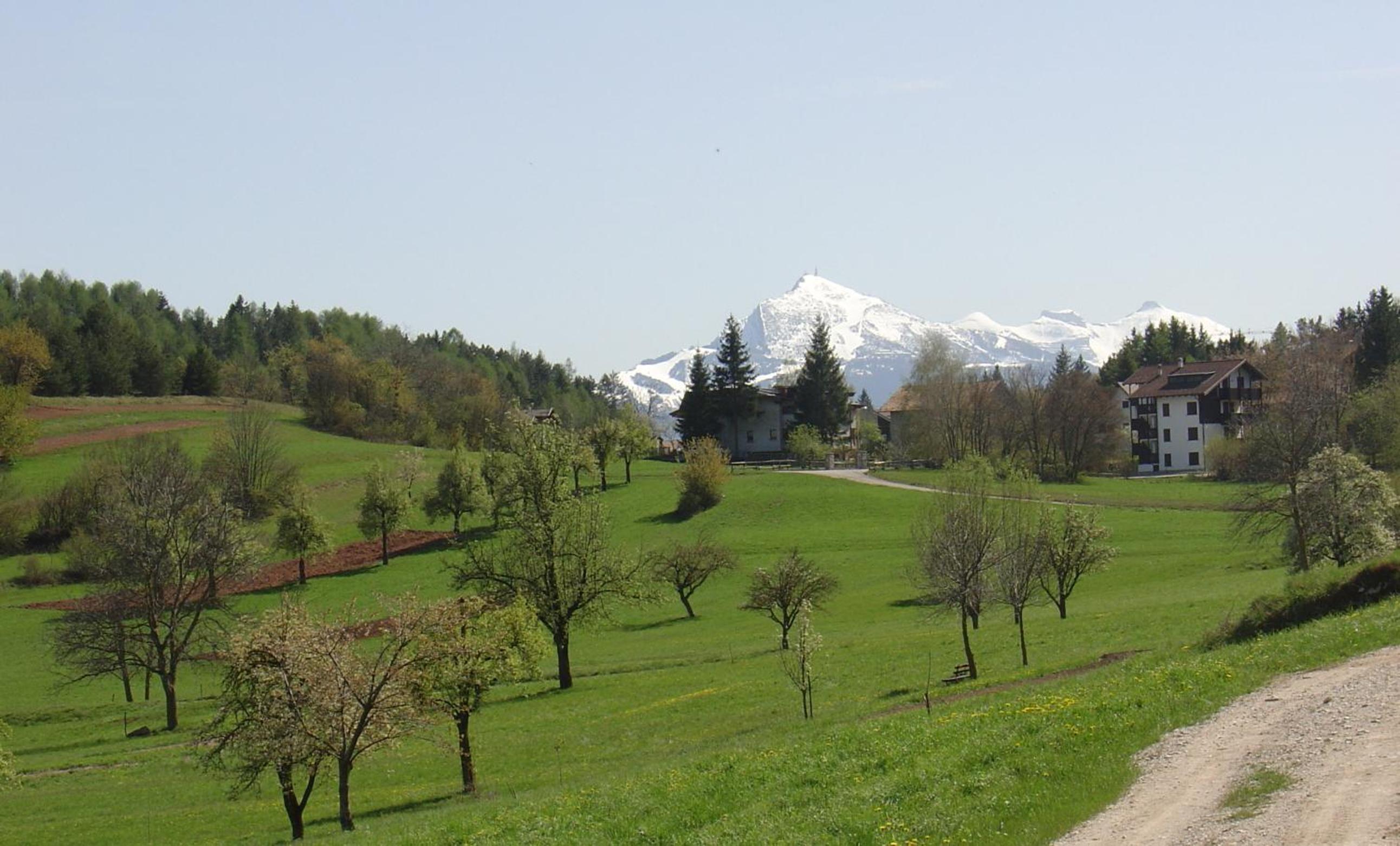 Photo 46