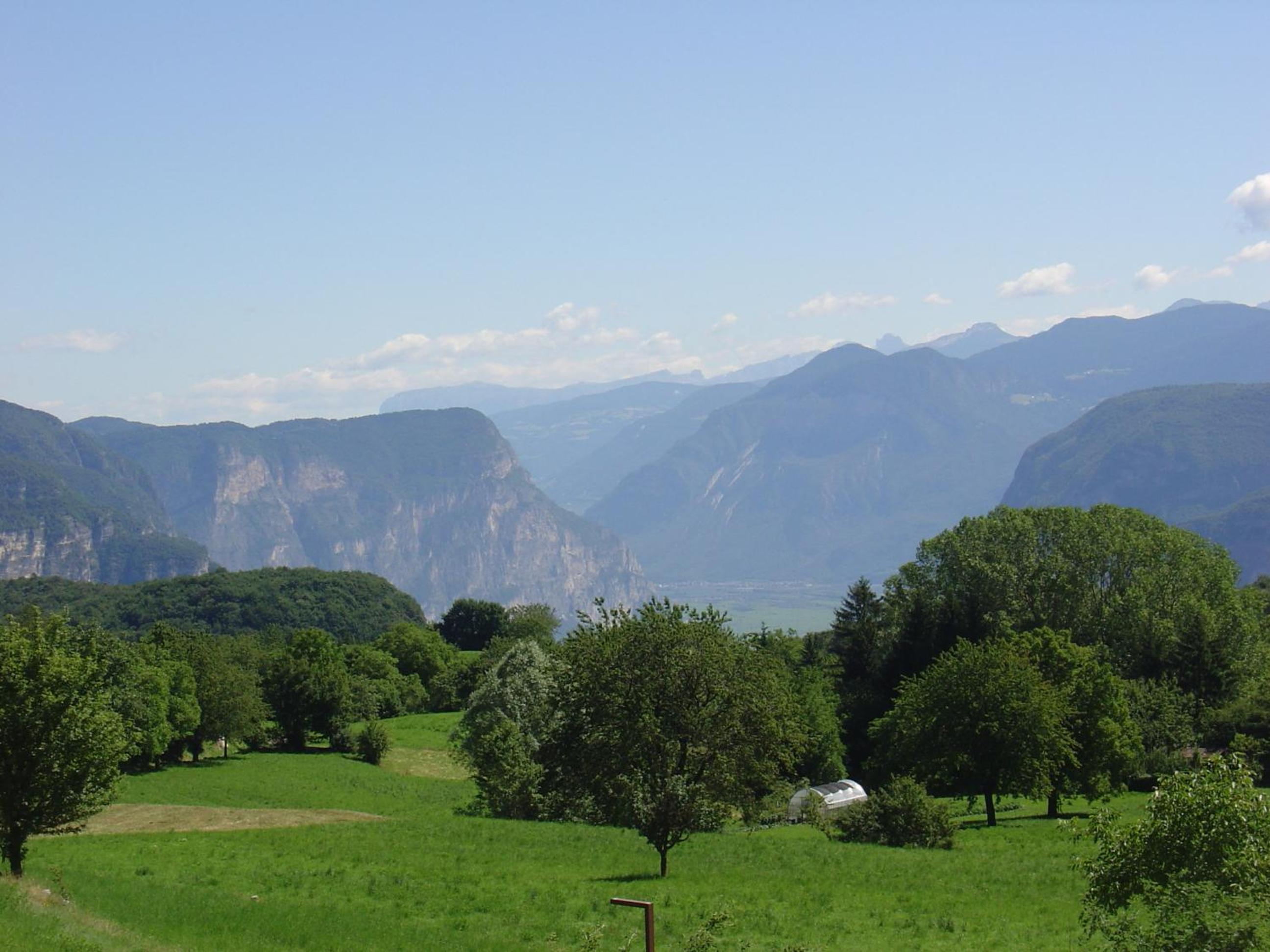 Photo 48