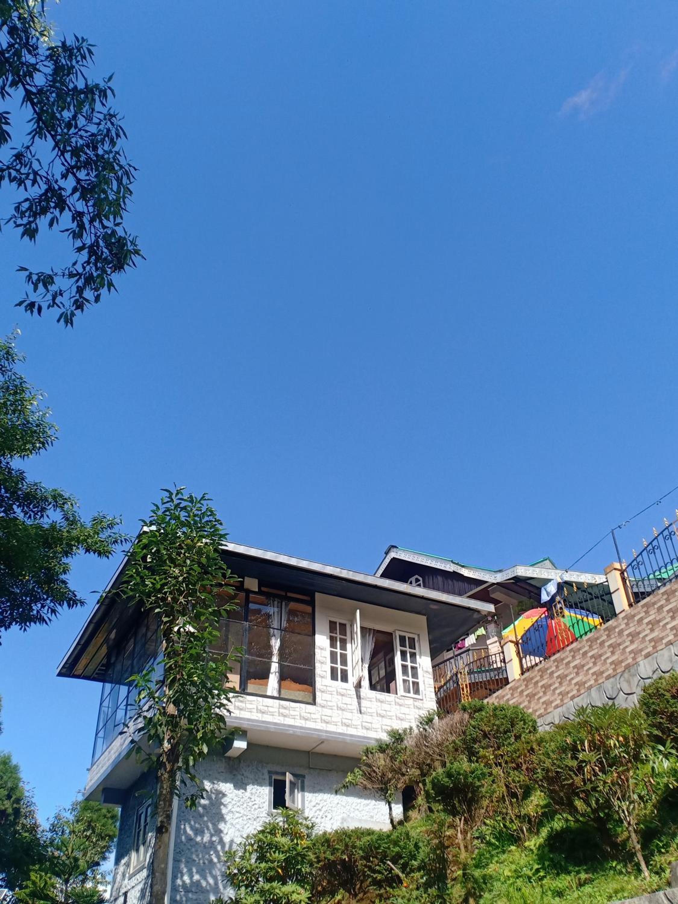 Pinewood Homestay
