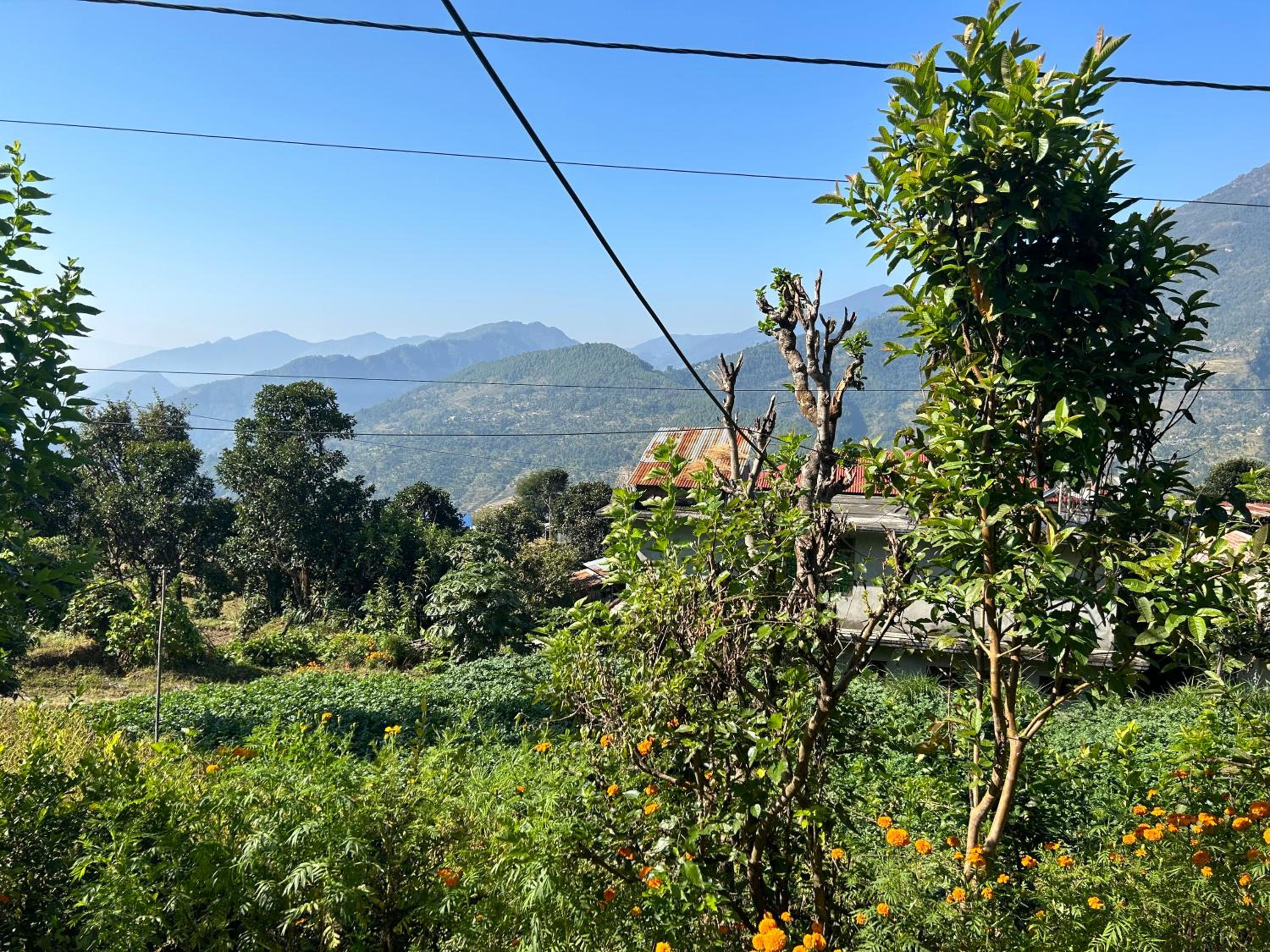 Karmidanda Village Homestay view 3