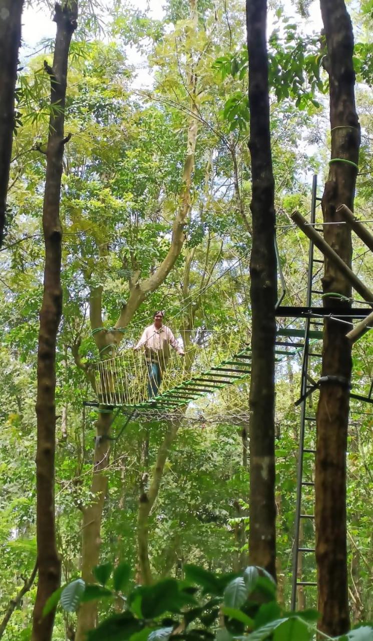 Adrak Mountain Mist Forest Resort view 3