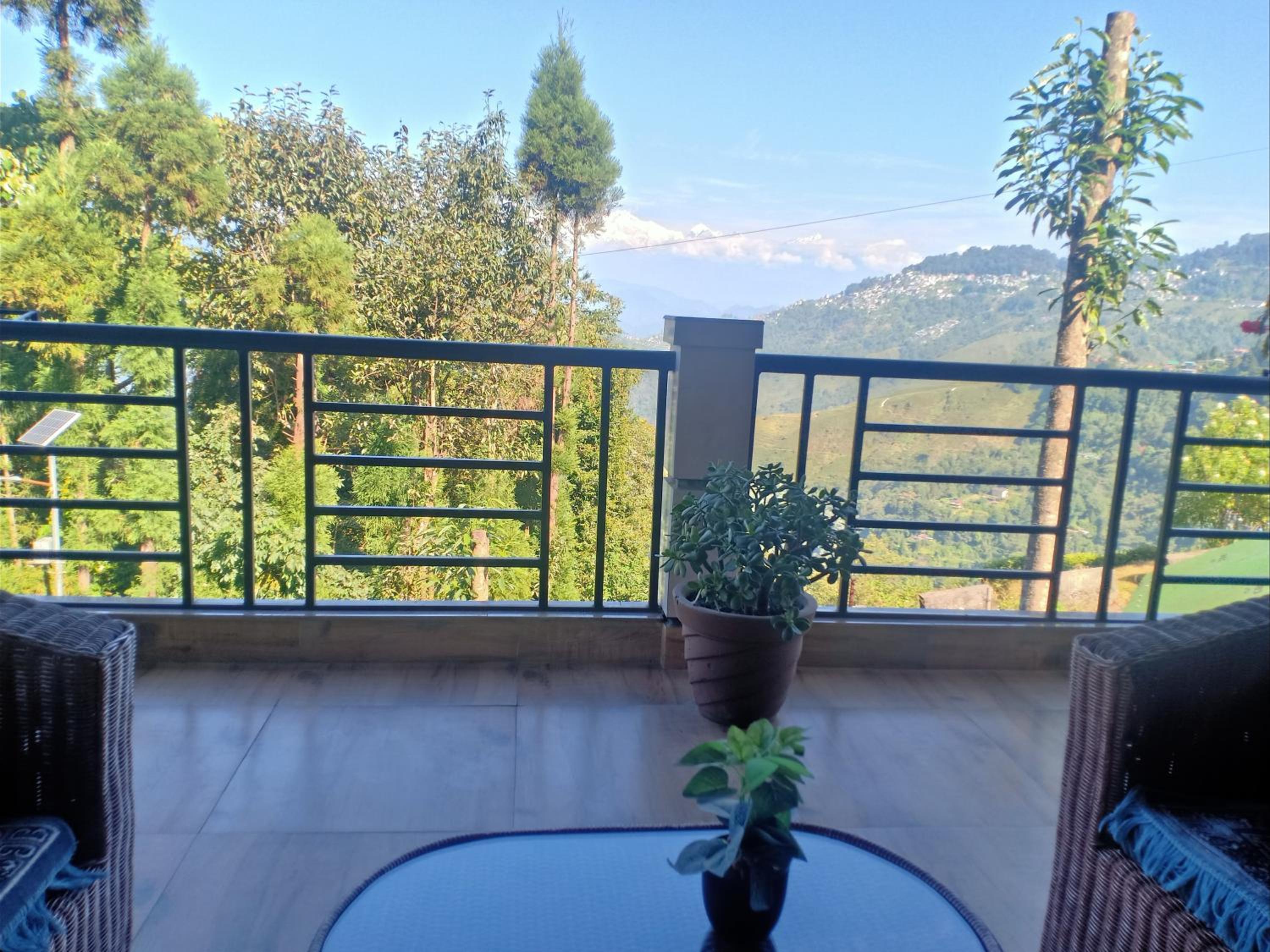 Pinewood Homestay