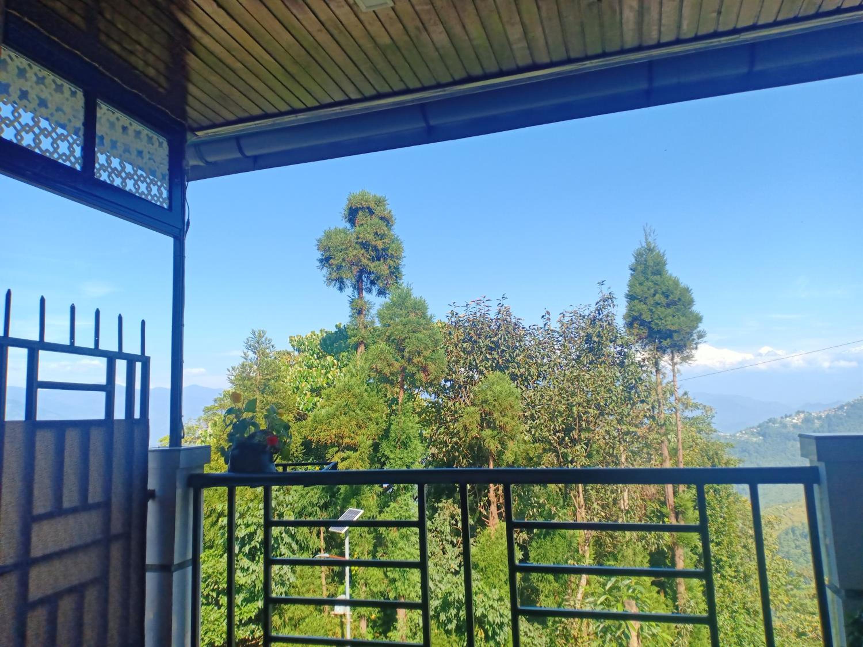 Pinewood Homestay