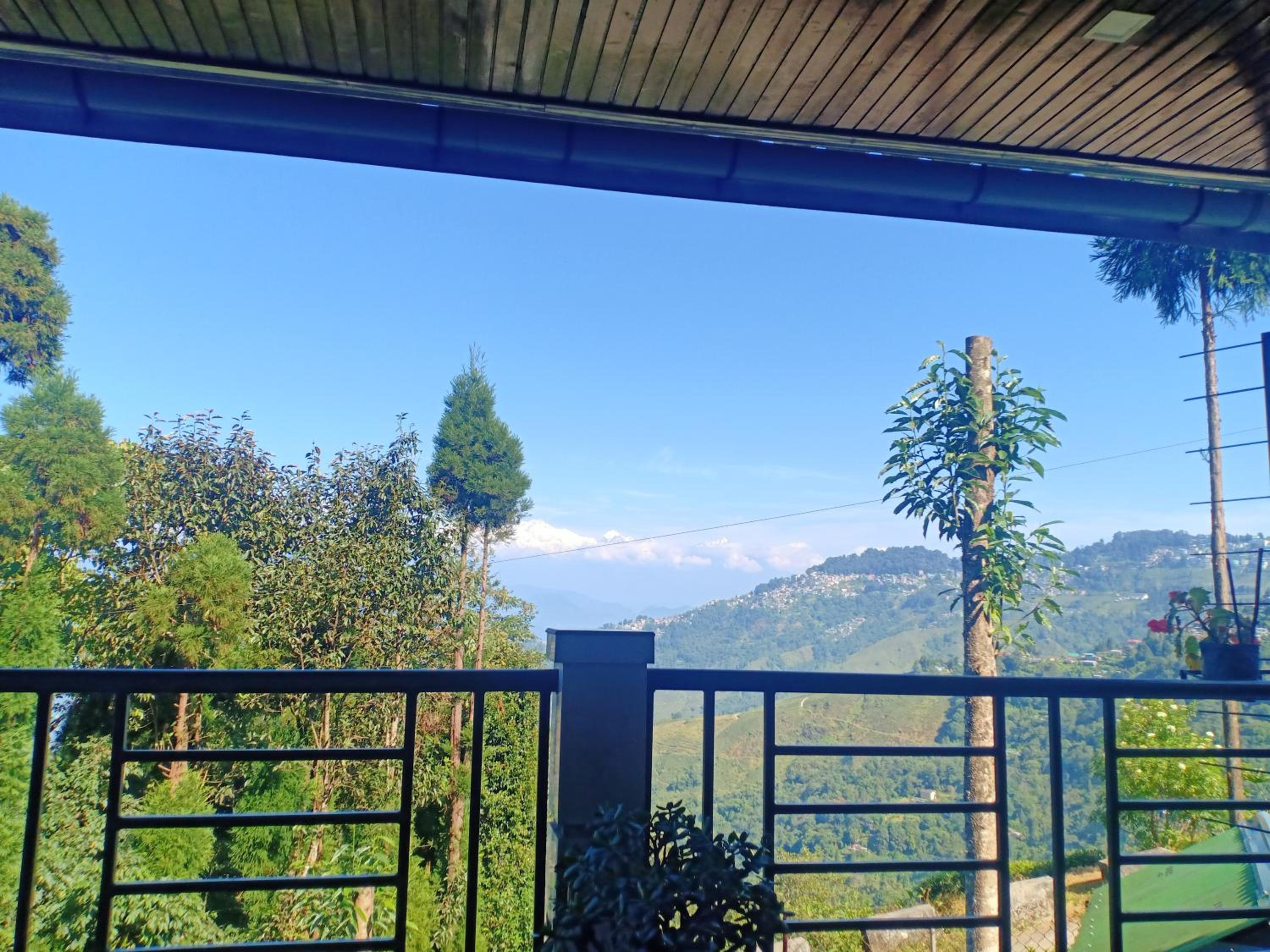 Pinewood Homestay