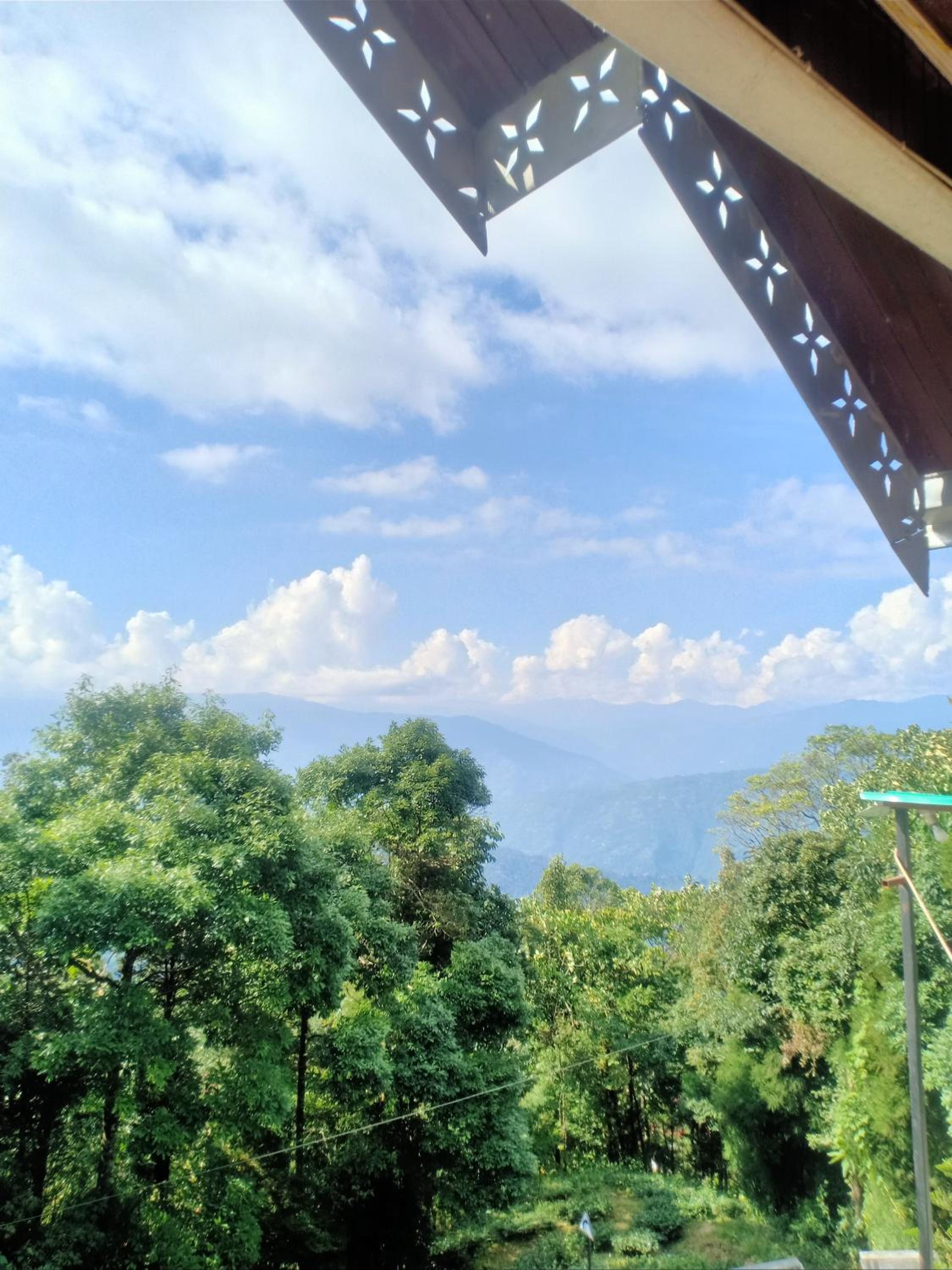 Pinewood Homestay