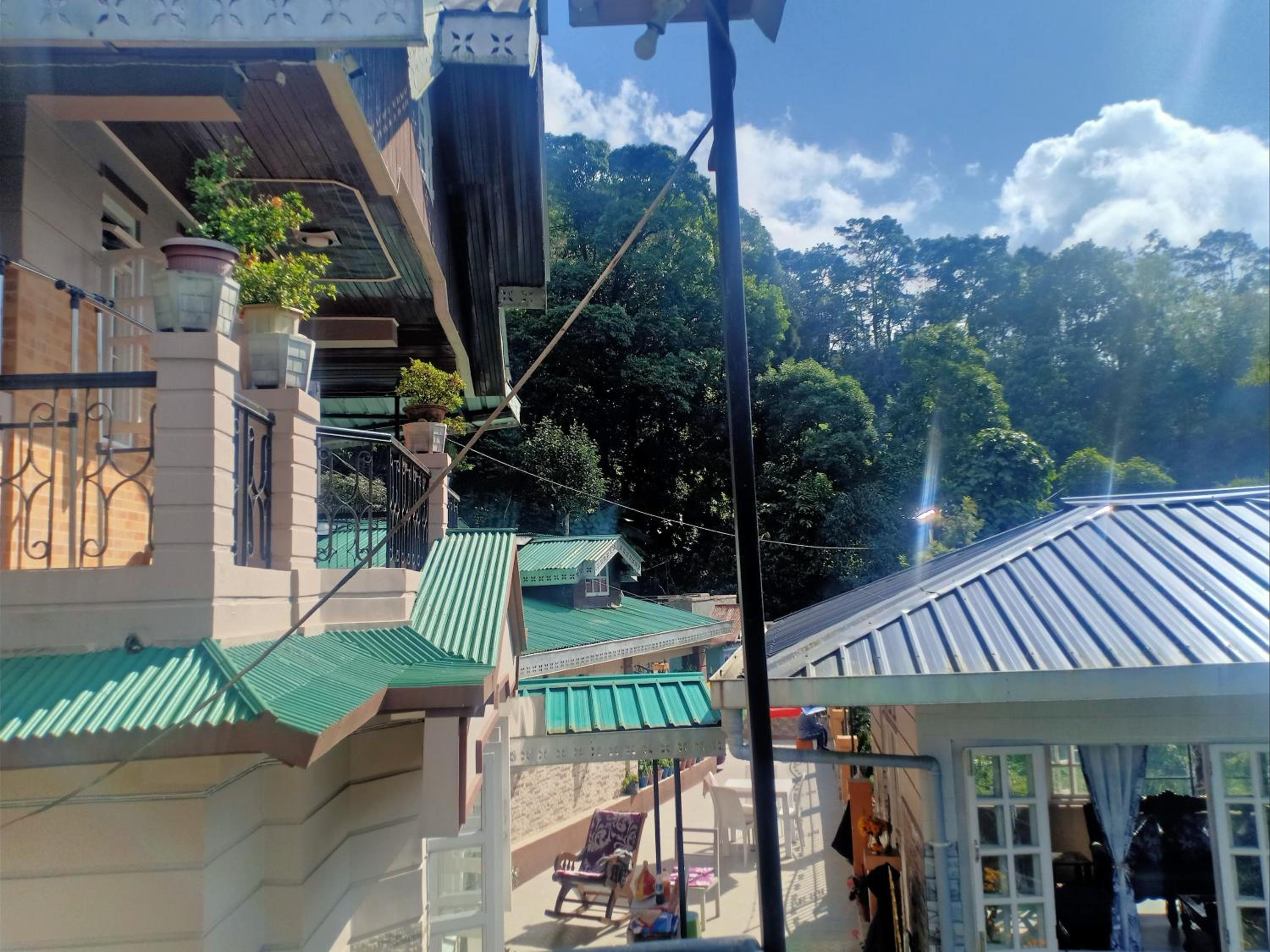 Pinewood Homestay