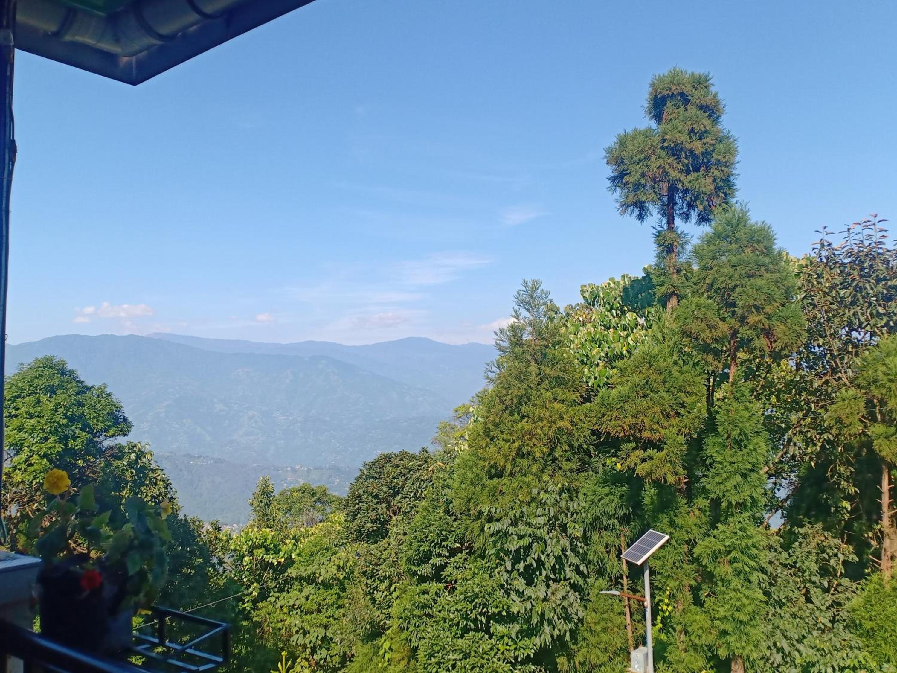 Pinewood Homestay