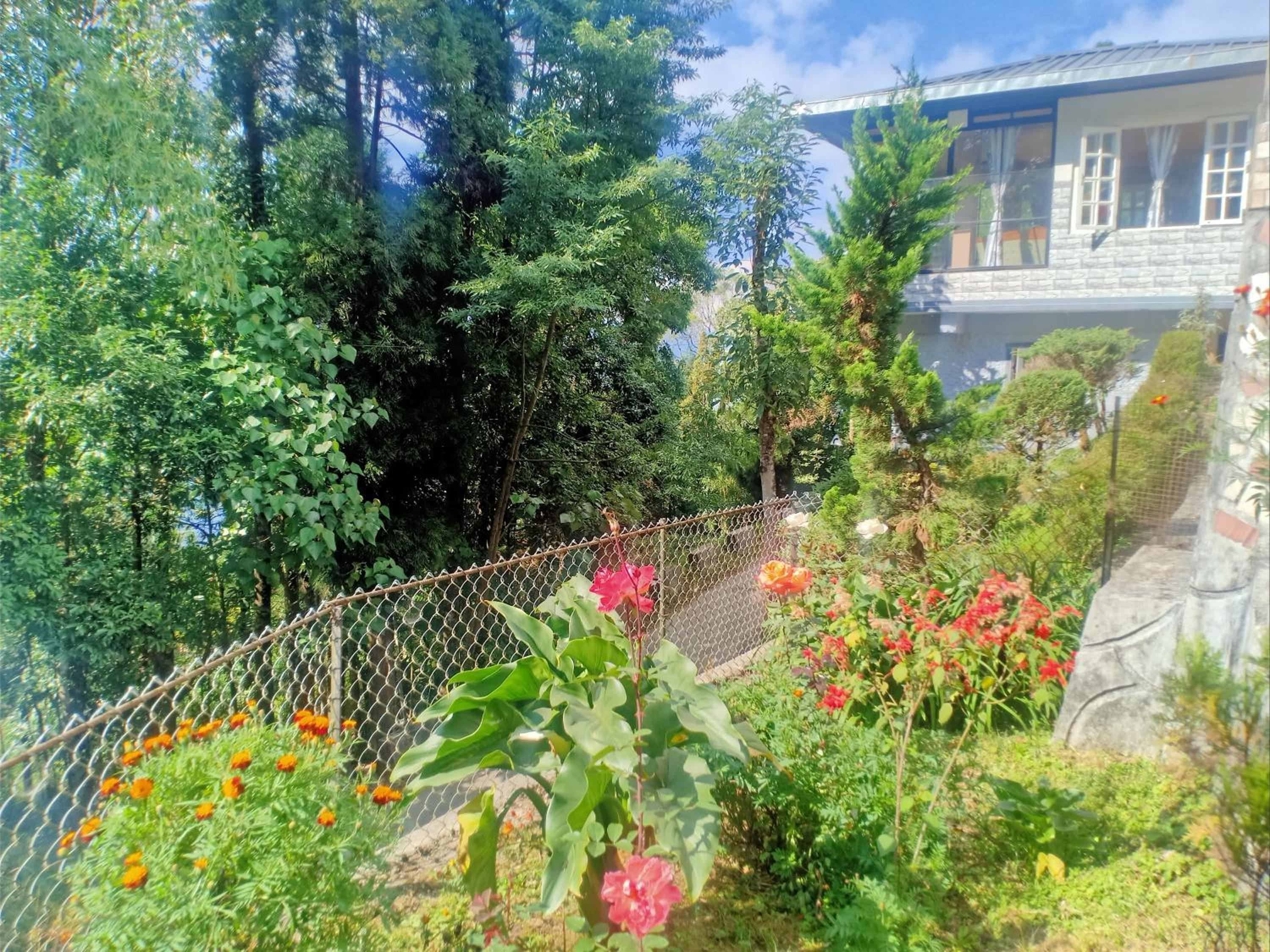 Pinewood Homestay
