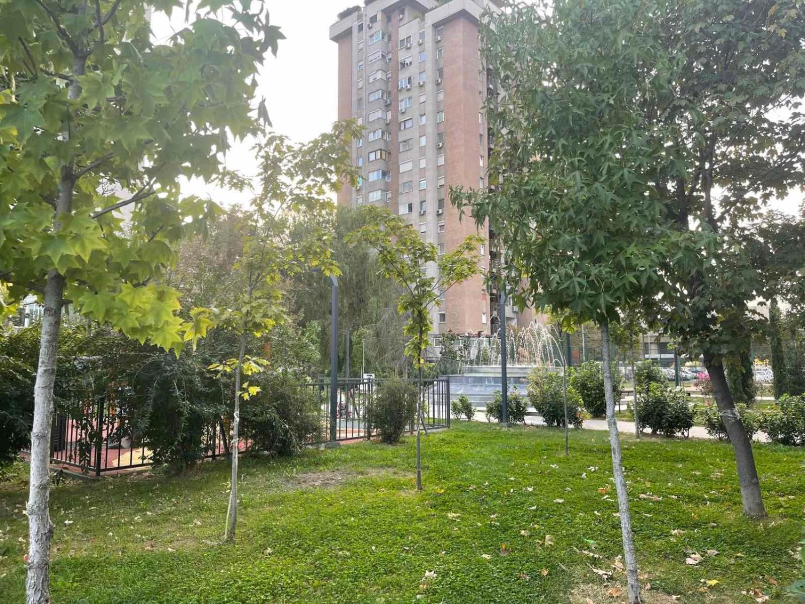 Photo 39