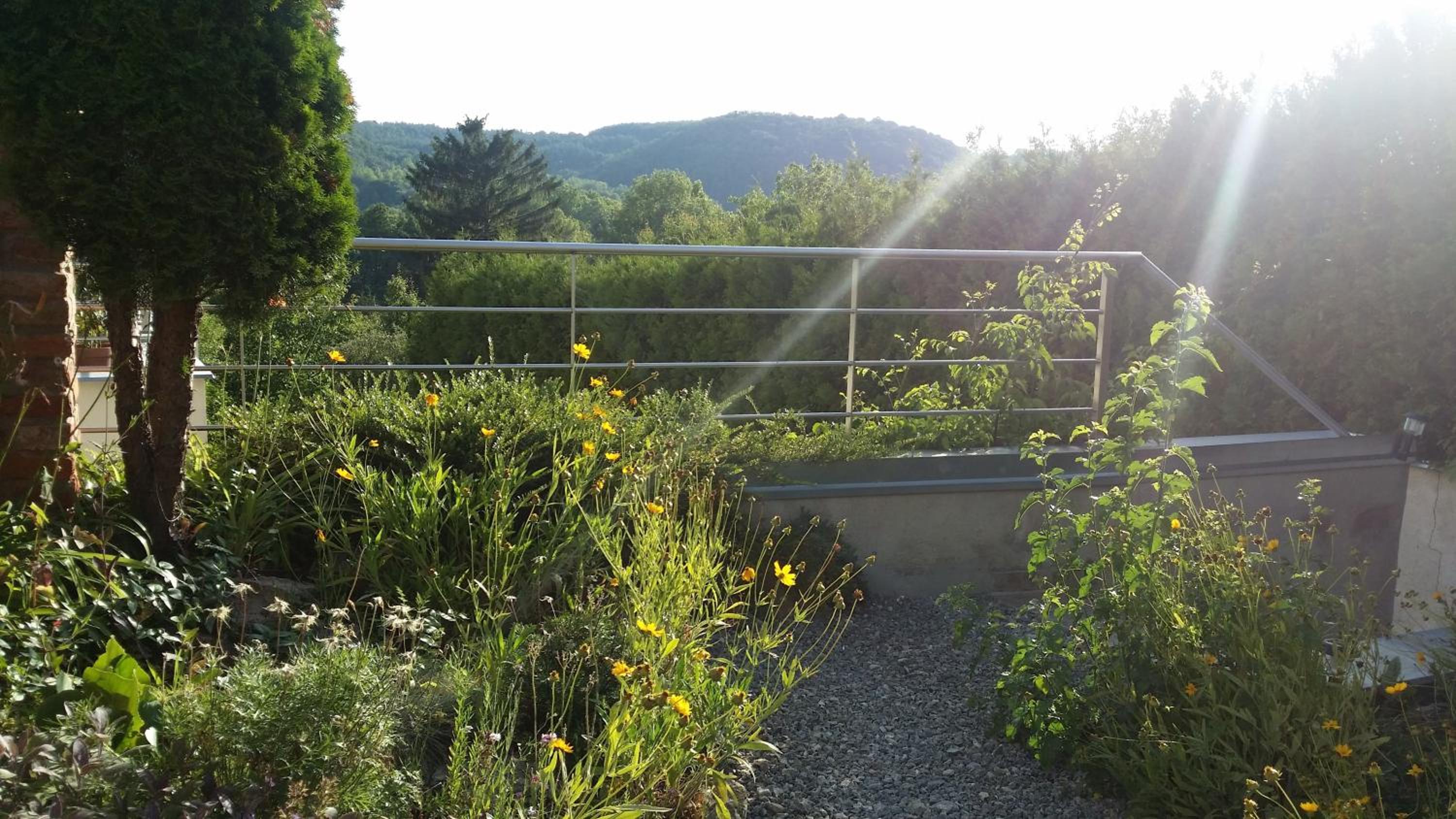 Naposdombi Apartmanok view 3