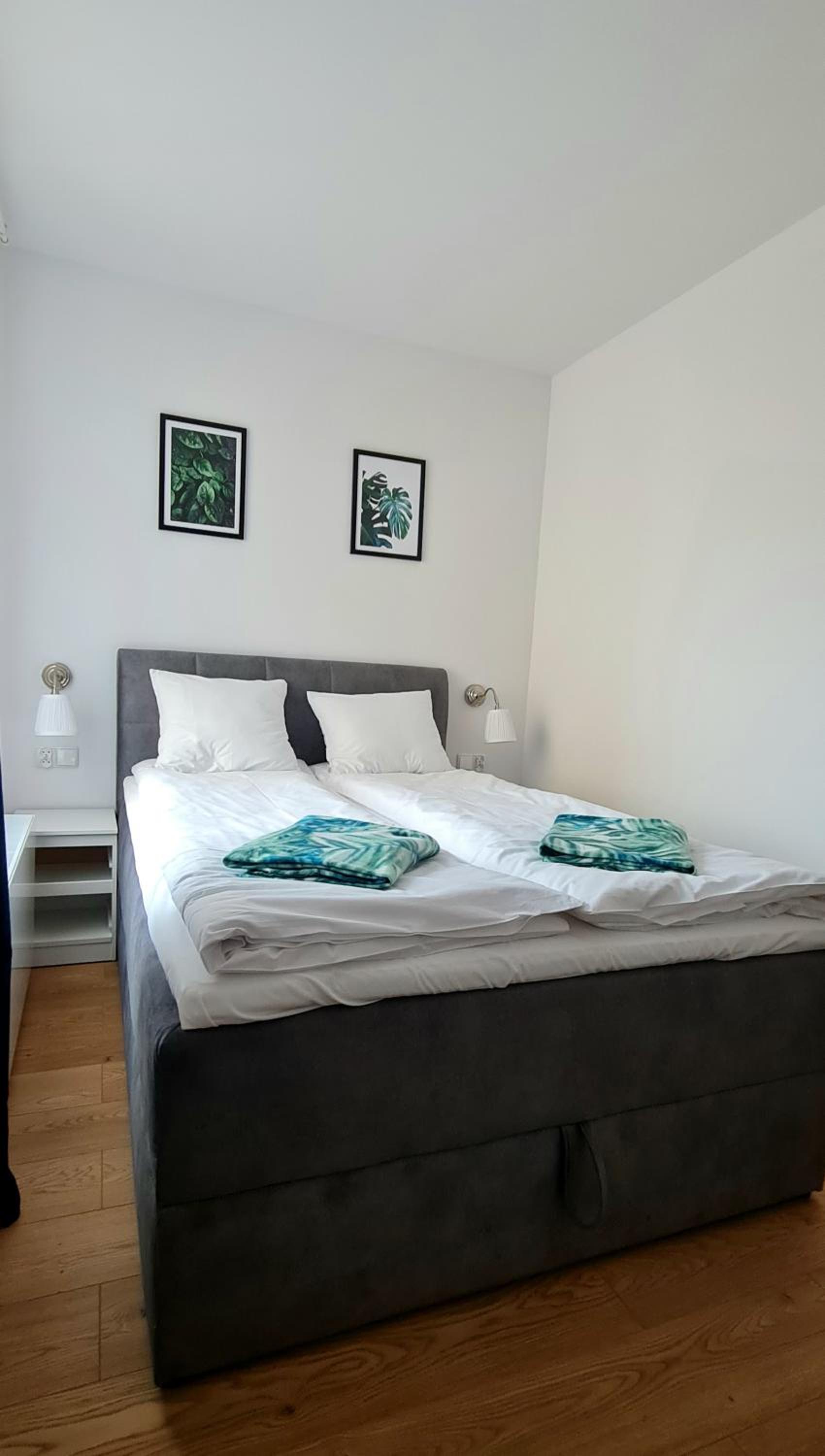 Apartamenty Dębowa 3