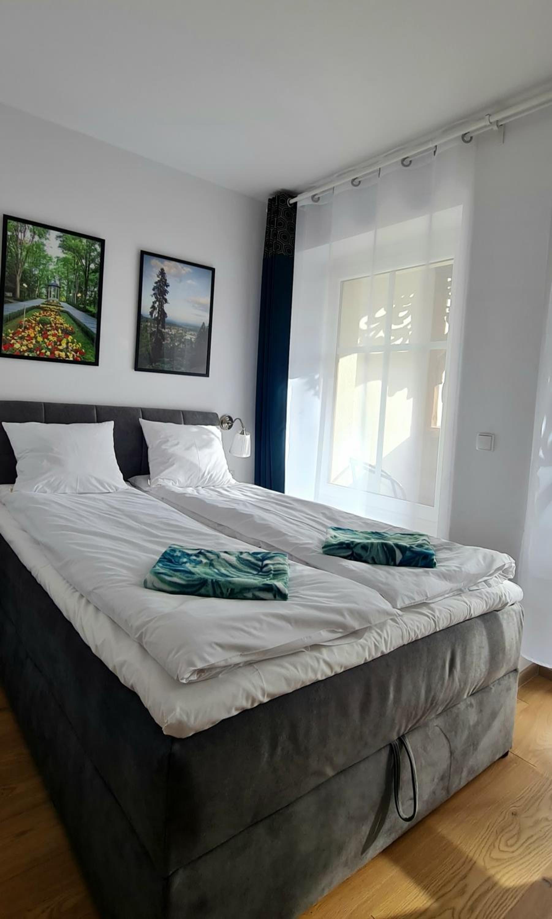 Apartamenty Dębowa 3