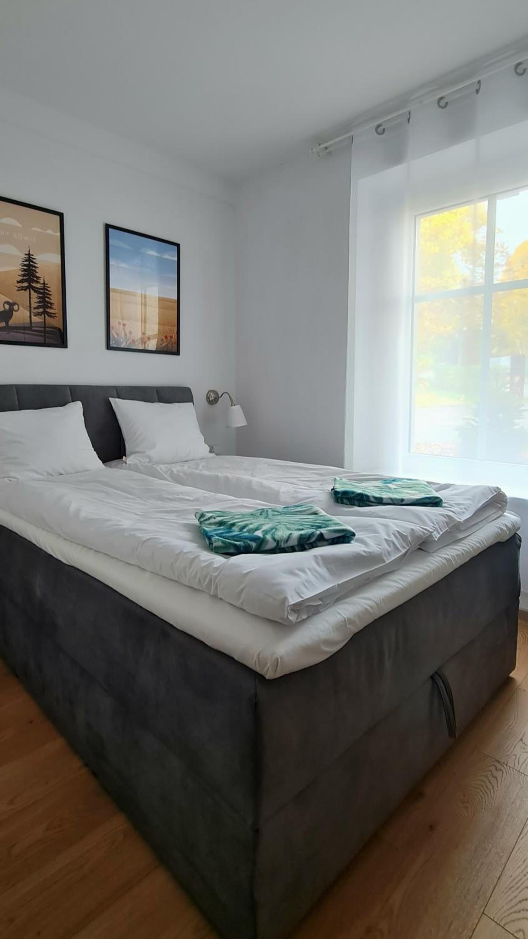 Apartamenty Dębowa 3