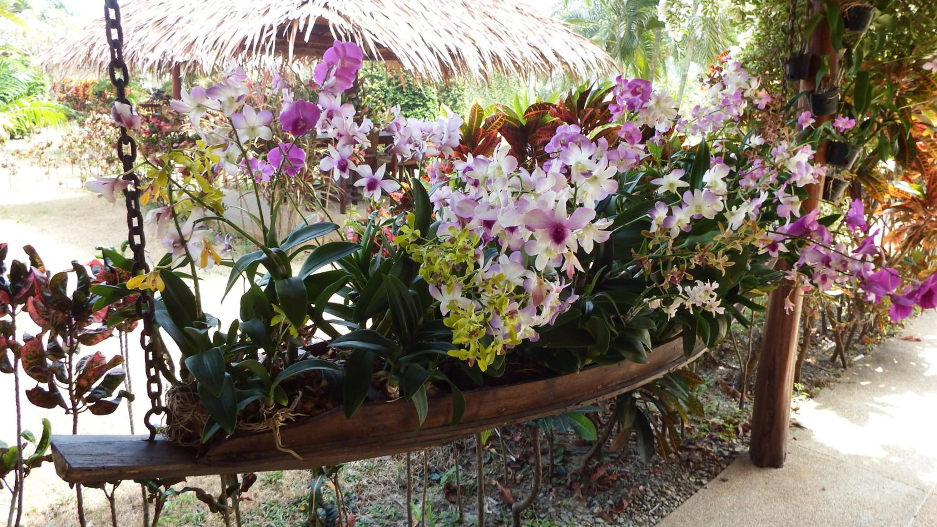 Ao Thai Resort