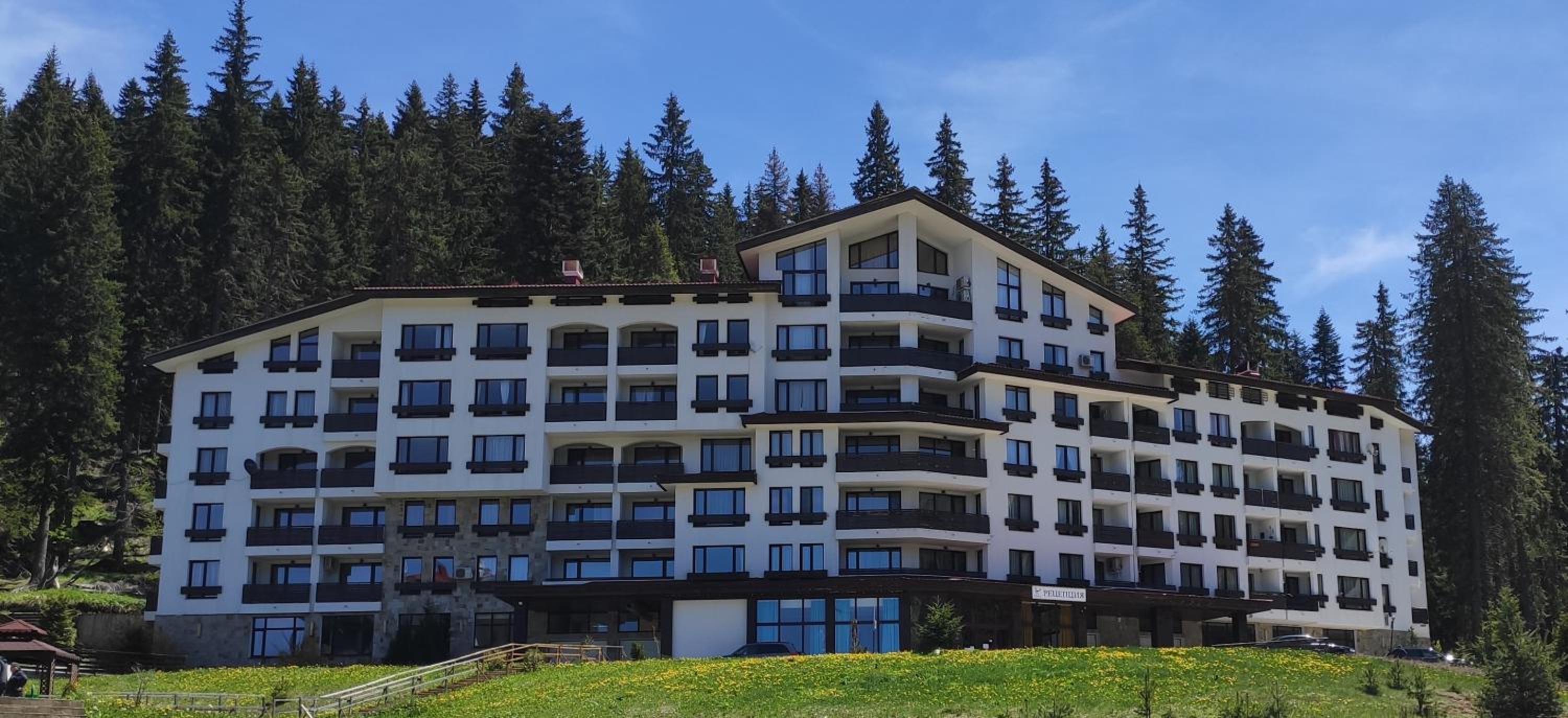 Forest Dream Apartment - Elit Pamporovo