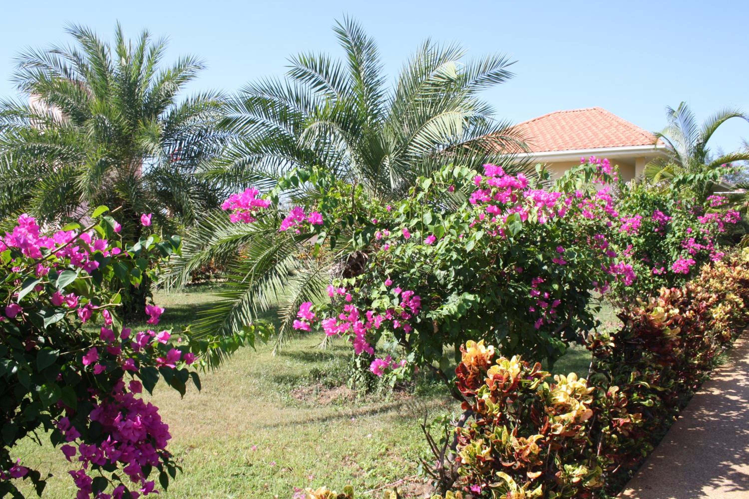Ao Thai Resort