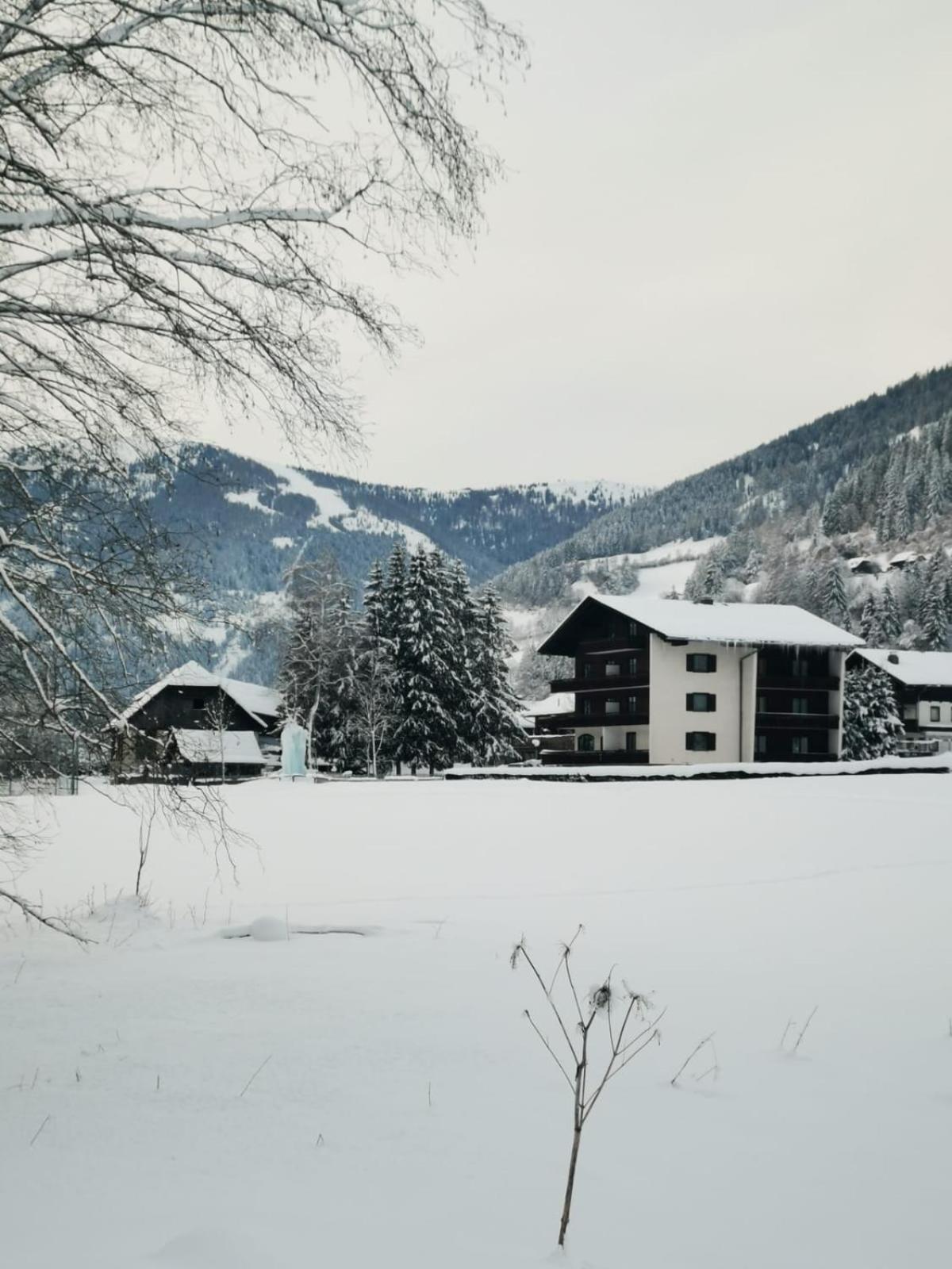 Apartments Edenhof