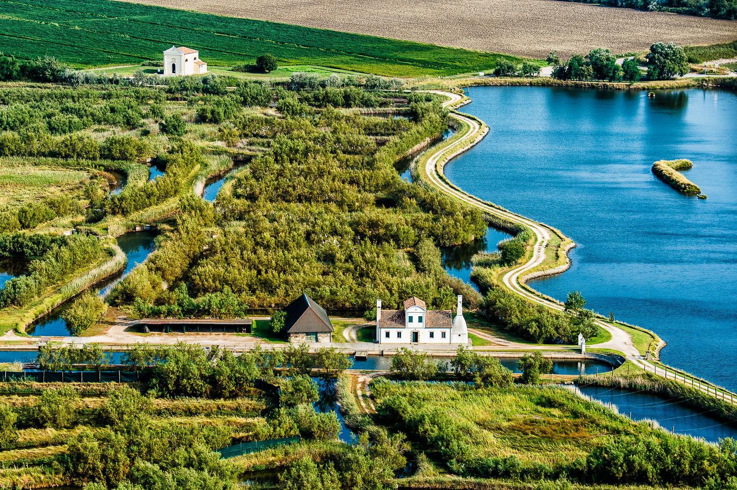 Isola di Albarella