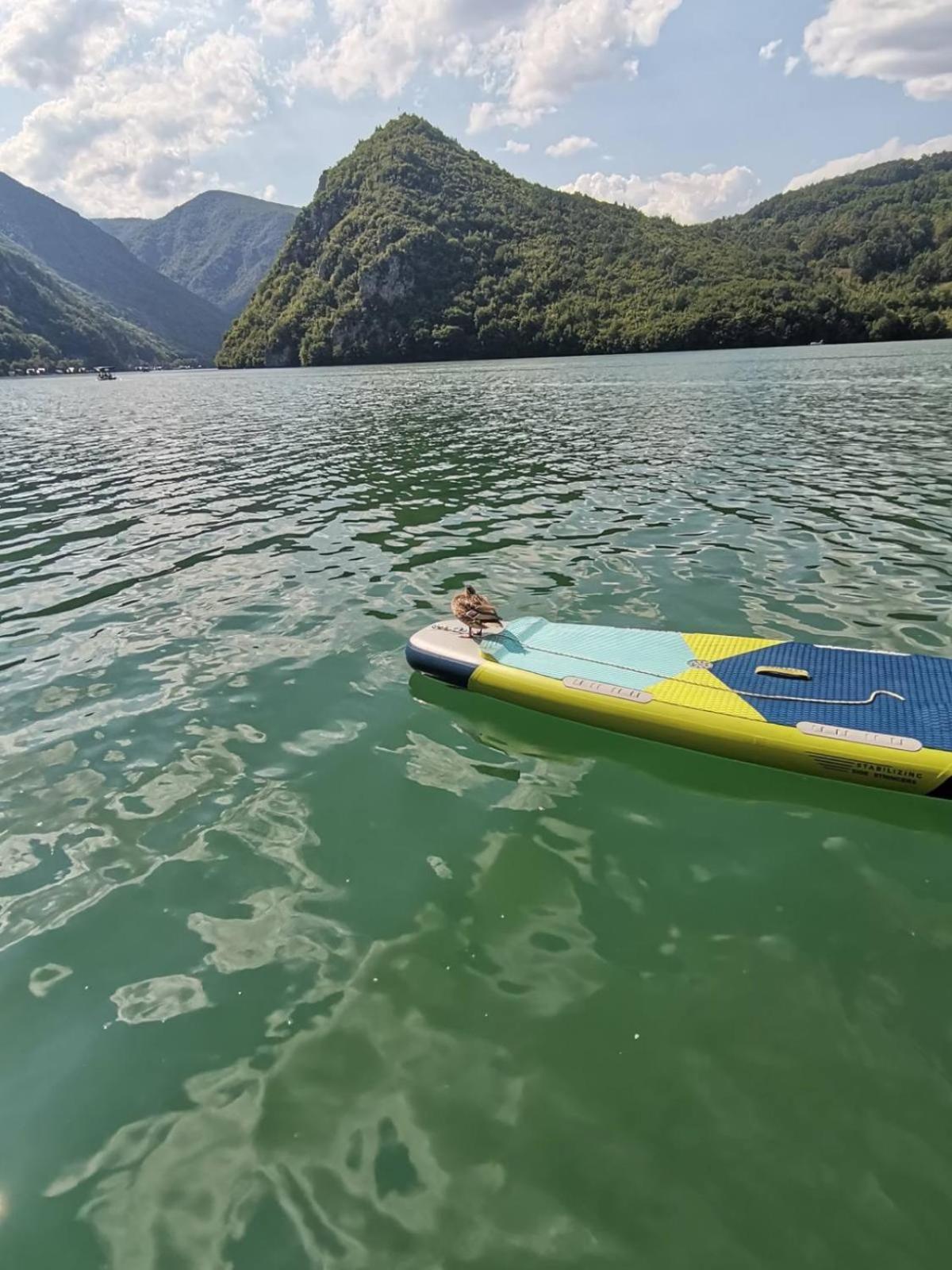 Splav Wake at the lake view 4