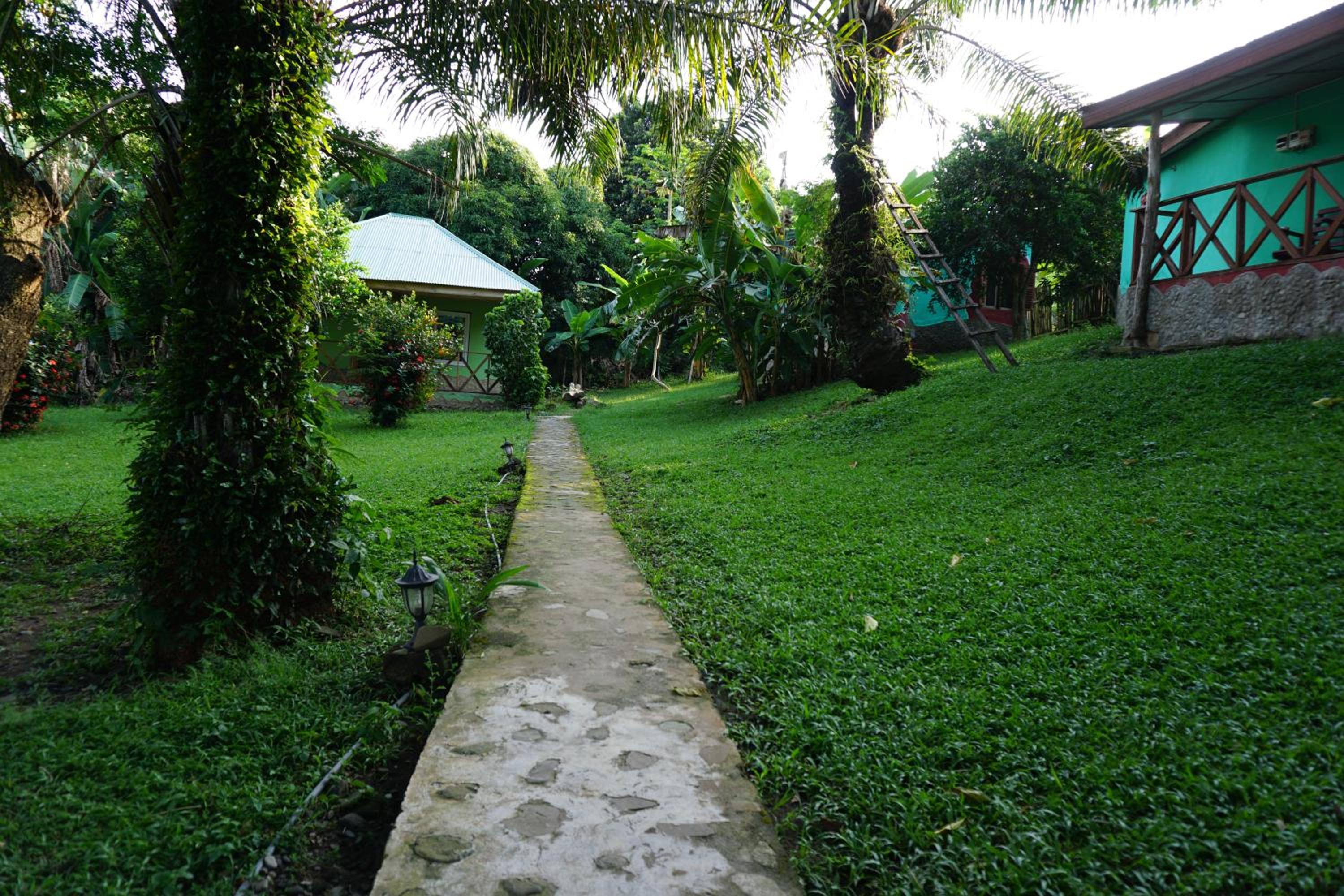 Cocoa Village Guesthouse view 2