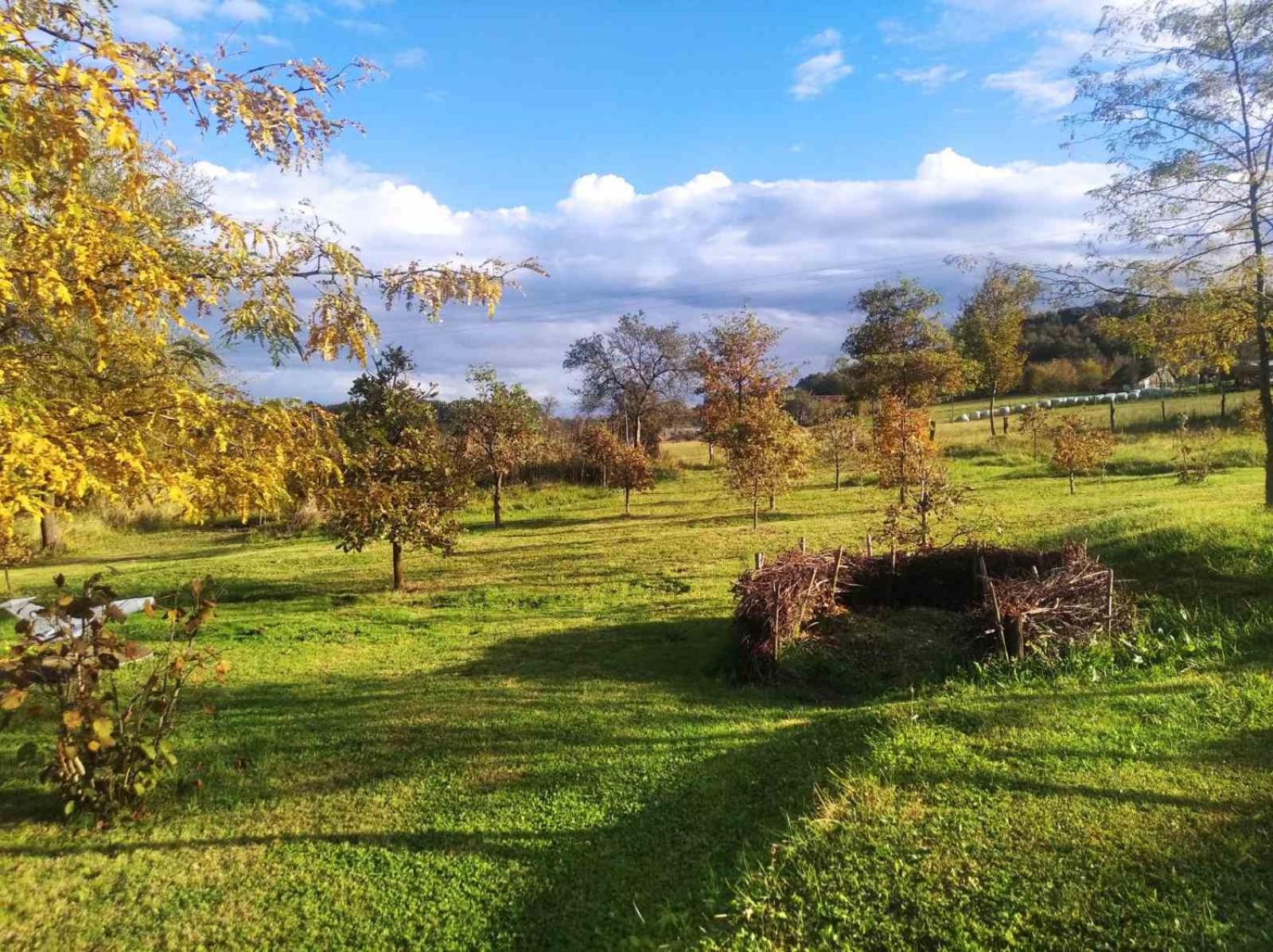 Villa Davidovic