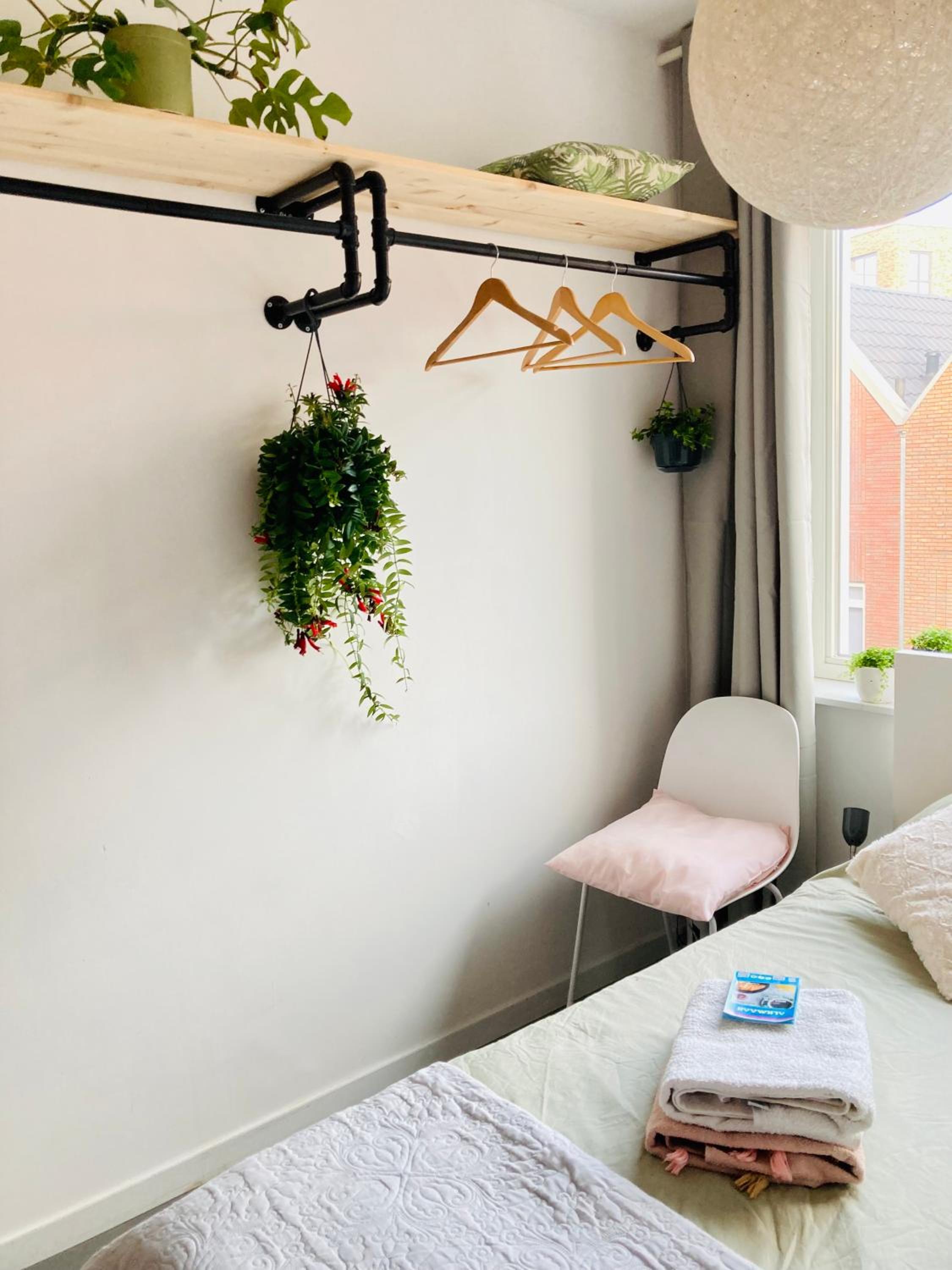 Canal House - Homestay view 5