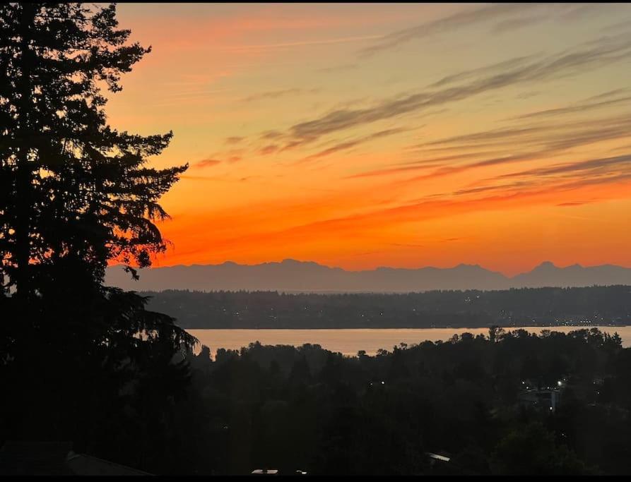 Seattle Private Resort view 2