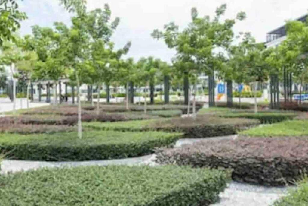Photo 16