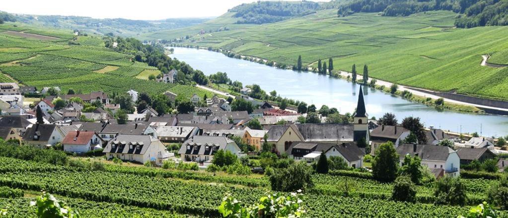 Weingut-Ferienwohnung Heinz Dostert