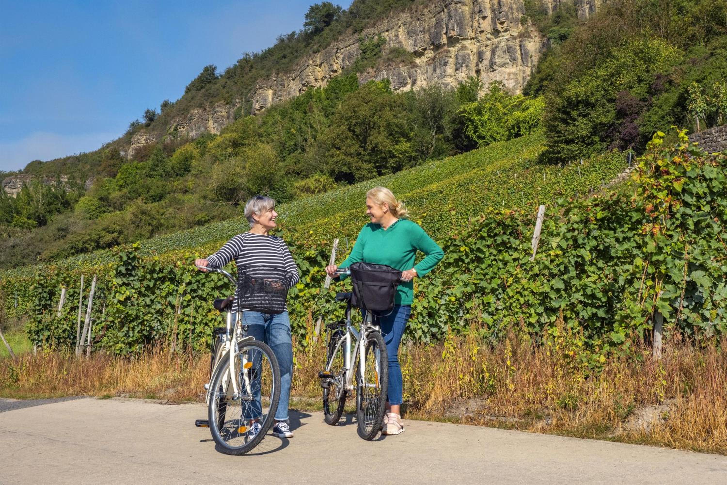Weingut-Ferienwohnung Heinz Dostert