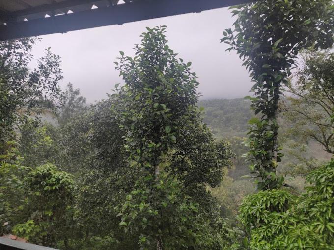 Blanc Villa view 5