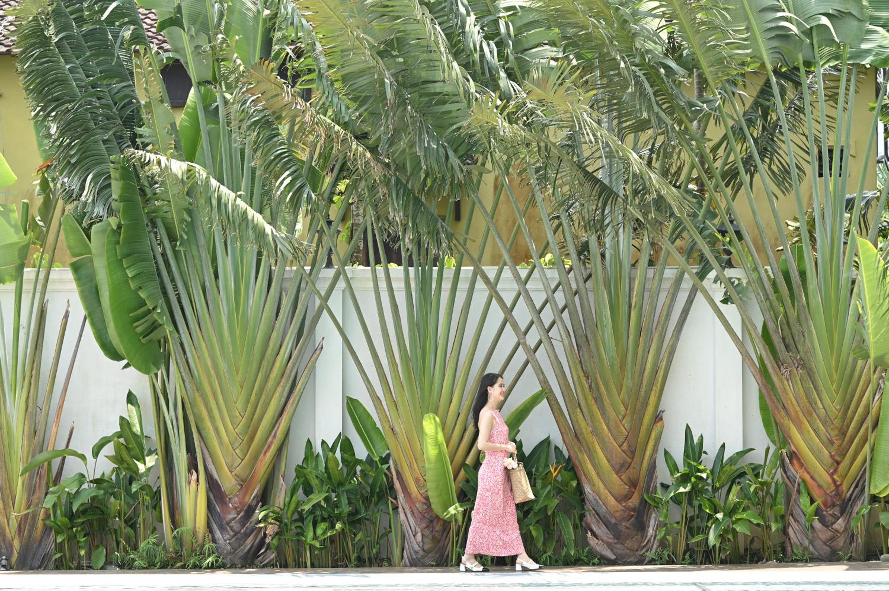 Hoi An Vacations - Shining Riverside Hoi An Boutique  Spa - Property Image 3